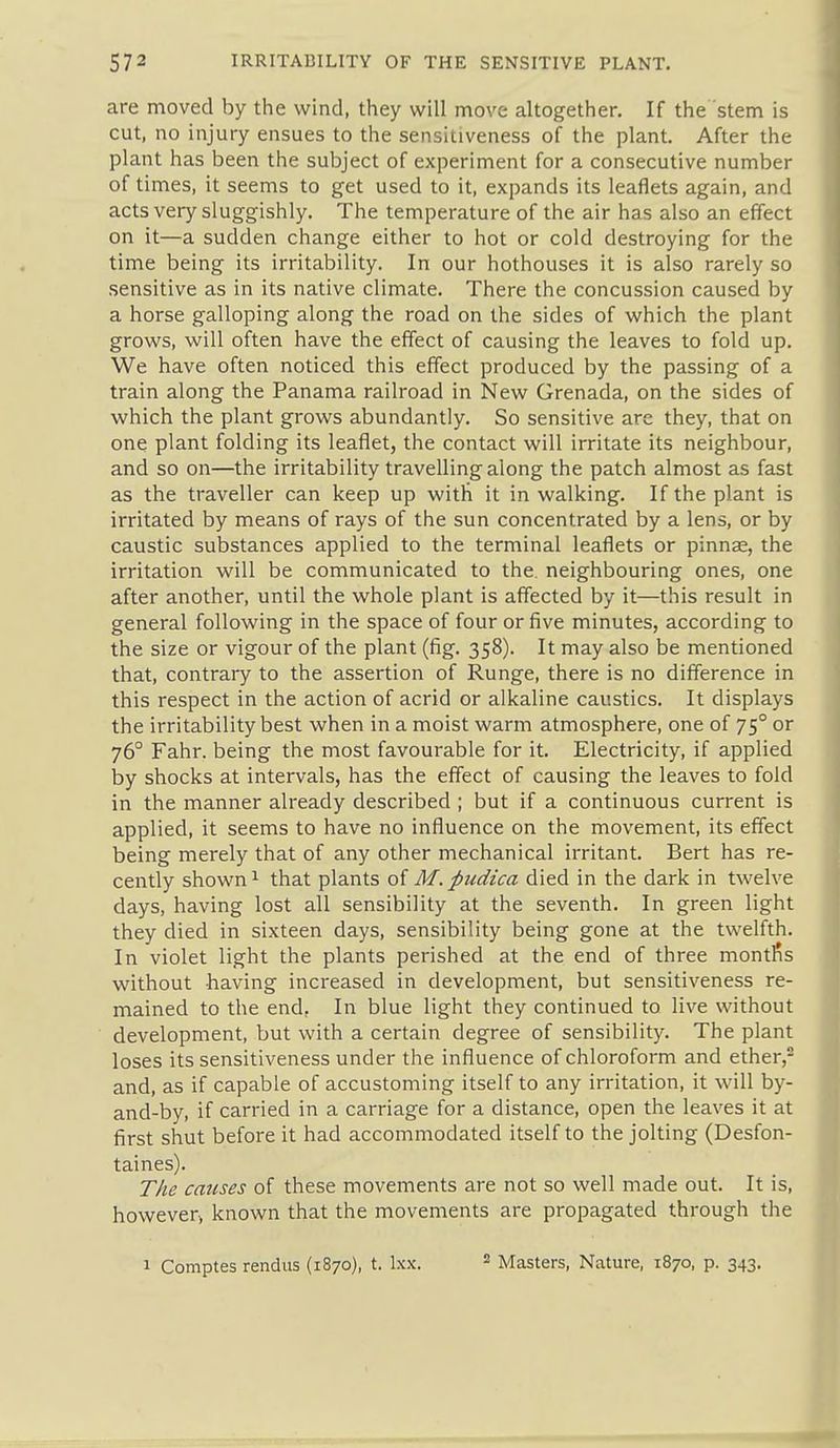 are moved by the wind, they will move altogether. If the stem is cut, no injury ensues to the sensitiveness of the plant. After the plant has been the subject of experiment for a consecutive number of times, it seems to get used to it, expands its leaflets again, and acts very sluggishly. The temperature of the air has also an effect on it—a sudden change either to hot or cold destroying for the time being its irritability. In our hothouses it is also rarely so sensitive as in its native climate. There the concussion caused by a horse galloping along the road on the sides of which the plant grows, will often have the effect of causing the leaves to fold up. We have often noticed this effect produced by the passing of a train along the Panama railroad in New Grenada, on the sides of which the plant grows abundantly. So sensitive are they, that on one plant folding its leaflet, the contact will irritate its neighbour, and so on—the irritability travelling along the patch almost as fast as the traveller can keep up with it in walking. If the plant is irritated by means of rays of the sun concentrated by a lens, or by caustic substances applied to the terminal leaflets or pinnse, the irritation will be communicated to the. neighbouring ones, one after another, until the whole plant is affected by it—this result in general following in the space of four or five minutes, according to the size or vigour of the plant (fig. 358). It may also be mentioned that, contraiy to the assertion of Runge, there is no difference in this respect in the action of acrid or alkaline caustics. It displays the irritability best when in a moist warm atmosphere, one of 75° or 76° Fahr. being the most favourable for it. Electricity, if applied by shocks at intervals, has the effect of causing the leaves to fold in the manner already described ; but if a continuous current is applied, it seems to have no influence on the movement, its effect being merely that of any other mechanical irritant. Bert has re- cently shown ^ that plants of M. pudica died in the dark in twelve days, having lost all sensibility at the seventh. In green light they died in sixteen days, sensibility being gone at the twelfth. In violet light the plants perished at the end of three montfis without having increased in development, but sensitiveness re- mained to the end, In blue light they continued to live without development, but with a certain degree of sensibility. The plant loses its sensitiveness under the influence of chloroform and ether,^ and, as if capable of accustoming itself to any irritation, it will by- and-by, if carried in a carriage for a distance, open the leaves it at first shut before it had accommodated itself to the jolting (Desfon- taines). The causes of these movements are not so well made out. It is, however> known that the movements are propagated through the 1 Comptes rendus (1870), t. l.\x. ^ Masters, Nature, 1870, p. 343.