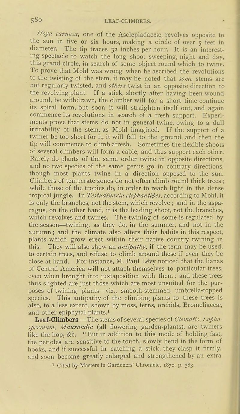Hoya carnosa, one of the Asclepiadaceae, revolves opposite to the sun in five or six hours, making a circle of over 5 feet in diameter. The tip traces 32 inches per hour. It is an interest- ing spectacle to watch the long shoot sweeping, night and day, this grand circle, in search of some object round which to twine. To prove that Mohl was wrong when he ascribed the revolutions to the twisting of the stem, it may be noted that some stems are not regularly twisted, and others twist in an opposite direction to the revolving plant. If a stick, shortly after having been wound around, be withdrawn, the climber will for a short time continue its spiral form, but soon it will straighten itself out, and again commence its revolutions in search of a fresh support. Experi- ments prove that stems do not in general twine, owing to a dull irritability of the stem, as Mohl imagined. If the support of a twiner be too short for it, it will fall to the ground, and then the tip will commence to climb afresh. Sometimes the flexible shoots of several climbers will form a cable, and thus support each other. Rarely do plants of the same order twine in opposite directions, and no two species of the same genus go in contrary directions, though most plants twine in a direction opposed to the sun. Climbers of temperate zones do not often climb round thick trees; while those of the tropics do, in order to reach light in the dense tropical jungle. In Testudinaria elephantipes, according to Mohl, it is only the branches, not the stem, which revolve ; and in the aspa- ragus, on the other hand, it is the leading shoot, not the branches, which revolves and twines. The twining of some is regulated by the season—twining, as they do, in the summer, and not in the autumn; and the climate also alters their habits in this respect, plants which grow erect within their native country twining in this. They will also show an antipathy, if the term may be used, to certain trees, and refuse to climb around these if even they be close at hand. For instance, M. Paul Ldvy noticed that the lianas of Central America will not attach themselves to particular trees, even when brought into juxtaposition with them ; and these trees thus slighted are just those which are most unsuited for the pur- poses of twining plants—viz., smooth-stemmed, umbrella-topped species. This antipathy of the climbing plants to these trees is also, to a less extent, shown by moss, ferns, orchids, Bromeliaceas, and other epiphytal plants.^ Leaf-Climbers.—The stems of several species of Clematis, Lopho- speriiijim, Maitrandia (all flowering garden-plants), are twiners like the hop, &c.  But in addition to this mode of holding fast, the petioles are sensitive to the touch, slowly bend in the form of hooks, and if successful in catching a stick, they clasp it firmly, and soon become greatly enlarged and strengthened by an extra 1 Cited by Masters in Gardeners' Chronicle, 1870, p. 383.