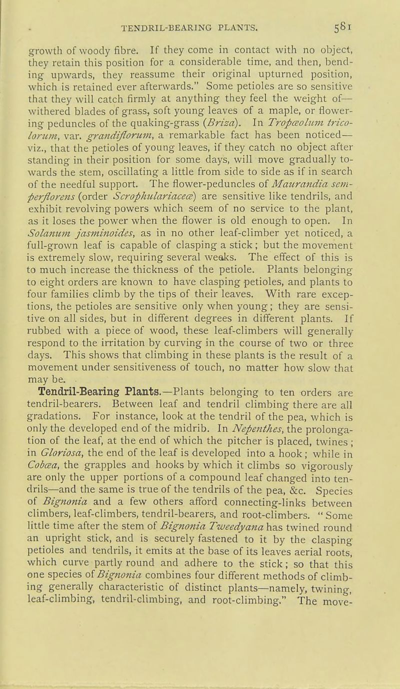growth of woody fibre. If they come in contact with no object, they retain this position for a considerable time, and then, bend- ing upwards, they reassume their original upturned position, which is retained ever afterwards. Some petioles are so sensitive that they will catch firmly at anything they feel the weight of— withered blades of grass, soft young leaves of a maple, or flower- ing peduncles of the quaking-grass {Brizd). In Tt-opceolum trico- loriim, van grandifloruin, a remarkable fact has been noticed— viz., that the petioles of young leaves, if they catch no object after standing in their position for some days, will move gradually to- wards the stem, oscillating a little from side to side as if in search of the needful support. The flower-peduncles of Maurandia scm- perflorens (order Scrophiilariacece) are sensitive like tendrils, and exhibit revolving powers which seem of no service to the plant, as it loses the power when the flower is old enough to open. In Solamim jasminoides, as in no other leaf-climber yet noticed, a full-grown leaf is capable of clasping a stick; but the movement is extremely slow, requiring several weaks. The effect of this is to much increase the thickness of the petiole. Plants belonging to eight orders are known to have clasping petioles, and plants to four families climb by the tips of their leaves. With rare excep- tions, the petioles are sensitive only when young; they are sensi- tive on all sides, but in different degrees in different plants. If rubbed with a piece of wood, these leaf-climbers will generally respond to the irritation by curving in the course of two or three days. This shows that climbing in these plants is the result of a movement under sensitiveness of touch, no matter how slow that may be. Tendril-Bearing Plants.—Plants belonging to ten orders are tendril-bearers. Between leaf and tendril climbing there are all gradations. For instance, look at the tendril of the pea, which is only the developed end of the midrib. In Nepenthes, the prolonga- tion of the leaf, at the end of which the pitcher is placed, twines ; in Gloriosa, the end of the leaf is developed into a hook; while in CobcEa, the grapples and hooks by which it climbs so vigorously are only the upper portions of a compound leaf changed into ten- drils—and the same is true of the tendrils of the pea, &c. Species of Bignonia and a few others afford connecting-links between climbers, leaf-climbers, tendril-bearers, and root-climbers. Some little time after the stem of Bignonia Tweedyana has twined round an upright stick, and is securely fastened to it by the clasping petioles and tendrils, it emits at the base of its leaves aerial roots, which curve partly round and adhere to the stick; so that this one species oiBignonia combines four different methods of climb- ing generally characteristic of distinct plants—namely, twining, leaf-climbing, tendril-climbing, and root-climbing. The move-