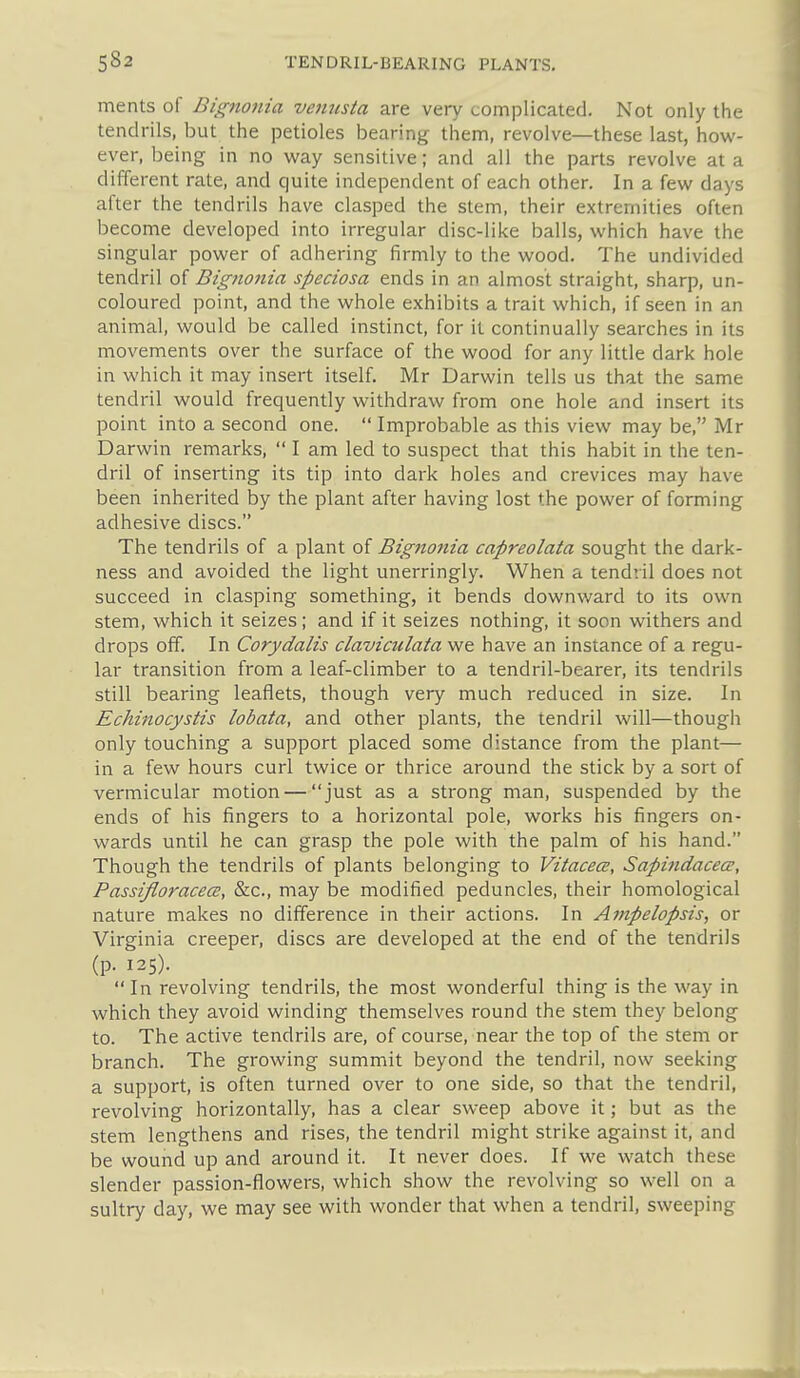 ments of Bignonia vcmista are very complicated. Not only the tendrils, but the petioles bearing them, revolve—these last, how- ever, being in no way sensitive; and all the parts revolve at a different rate, and quite independent of each other. In a few days after the tendrils have clasped the stem, their extremities often become developed into irregular disc-like balls, which have the singular power of adhering firmly to the wood. The undivided tendril of Bignonia speciosa ends in an almost straight, sharp, un- coloured point, and the whole exhibits a trait which, if seen in an animal, would be called instinct, for it continually searches in its movements over the surface of the wood for any little dark hole in which it may insert itself. Mr Darwin tells us that the same tendril would frequently withdraw from one hole and insert its point into a second one. Improbable as this view may be, Mr Darwin remarks, I am led to suspect that this habit in the ten- dril of inserting its tip into dark holes and crevices may have been inherited by the plant after having lost the power of forming adhesive discs. The tendrils of a plant oi Bignonia capreolata sought the dark- ness and avoided the light unerringly. When a tend'.il does not succeed in clasping something, it bends downward to its own stem, which it seizes; and if it seizes nothing, it soon withers and drops off. In Corydalis claviculata we have an instance of a regu- lar transition from a leaf-climber to a tendril-bearer, its tendrils still bearing leaflets, though very much reduced in size. In Echinocystis lobata, and other plants, the tendril will—though only touching a support placed some distance from the plant— in a few hours curl twice or thrice around the stick by a sort of vermicular motion — just as a strong man, suspended by the ends of his fingers to a horizontal pole, works his fingers on- wards until he can grasp the pole with the palm of his hand. Though the tendrils of plants belonging to Vitacea;, Sapindacece, PassiJloracecE, &c., may be modified peduncles, their homological nature makes no difference in their actions. In Ampelopsis, or Virginia creeper, discs are developed at the end of the tendrils (p. 125). In revolving tendrils, the most wonderful thing is the way in which they avoid winding themselves round the stem they belong to. The active tendrils are, of course, near the top of the stem or branch. The growing summit beyond the tendril, now seeking a support, is often turned over to one side, so that the tendril, revolving horizontally, has a clear sweep above it; but as the stem lengthens and rises, the tendril might strike against it, and be wound up and around it. It never does. If we watch these slender passion-flowers, which show the revolving so w-ell on a sultry day, we may see with wonder that when a tendril, sweeping