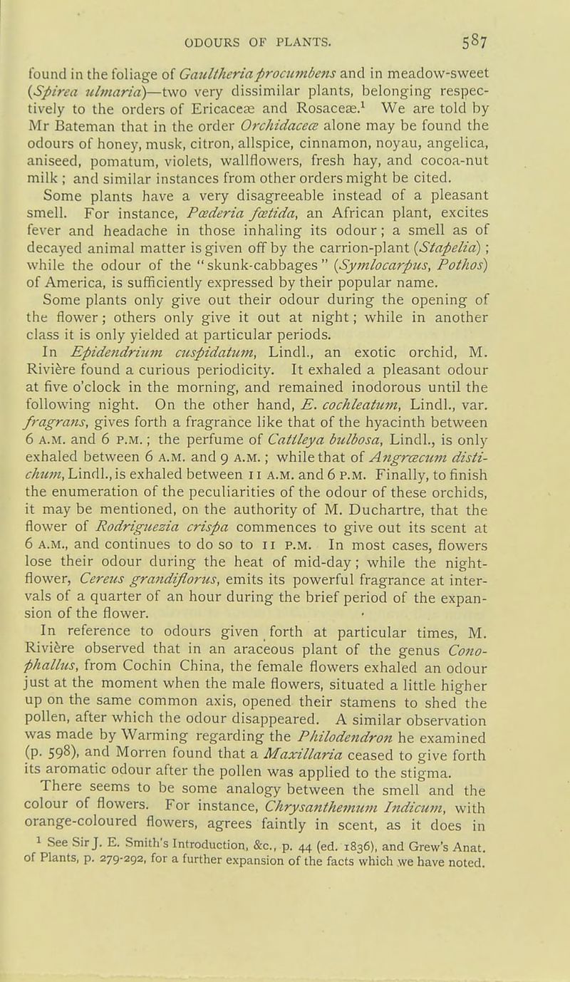 found in the foliage of Gaultheriaprocumbens and in meadow-sweet {JSpirea ubnaria)—two very dissimilar plants, belonging respec- tively to the orders of Ericaceae and Rosaceas.^ We are told by Mr Bateman that in the order Orchidacca: alone may be found the odours of honey, musk, citron, allspice, cinnamon, noyau, angelica, aniseed, pomatum, violets, wallflowers, fresh hay, and cocoa-nut milk ; and similar instances from other orders might be cited. Some plants have a very disagreeable instead of a pleasant smell. For instance, Poederia foetida, an African plant, excites fever and headache in those inhaling its odour; a smell as of decayed animal matter is given off by the carrion-plant {Stapelid) ; while the odour of the skunk-cabbages {Symlocarpus, Pothos) of America, is sufficiently expressed by their popular name. Some plants only give out their odour during the opening of the flower; others only give it out at night; while in another class it is only yielded at particular periods. In Epidetidrium aispidatum, Lindl., an exotic orchid, M. Riviere found a curious periodicity. It exhaled a pleasant odour at five o'clock in the morning, and remained inodorous until the following night. On the other hand, E. cochleatuiii, Lindl., var. fragrans, gives forth a fragrance like that of the hyacinth between 6 A.M. and 6 p.m. ; the perfume of Catileya bulbosa, Lindl., is only exhaled between 6 a.m. and 9 a.m. ; while that of Ayigrcemm disti- clmm, Lindl., is exhaled between 11 a.m. and 6 p.m. Finally, to finish the enumeration of the peculiarities of the odour of these orchids, it may be mentioned, on the authority of M. Duchartre, that the flower of Rodriguezia crispa commences to give out its scent at 6 a.m., and continues to do so to 11 p.m. In most cases, flowers lose their odour during the heat of mid-day; while the night- flower, Cereus grandifiorus, emits its powerful fragrance at inter- vals of a quarter of an hour during the brief period of the expan- sion of the flower. In reference to odours given forth at particular times, M. Rivifere observed that in an araceous plant of the genus Cono- phalhcs, from Cochin China, the female flowers exhaled an odour just at the moment when the male flowers, situated a little higher up on the same common axis, opened their stamens to shed the pollen, after which the odour disappeared. A similar observation was made by Warming regarding the Philodendron he examined (p. 598), and Morren found that a Maxillaria ceased to give forth its aromatic odour after the pollen was applied to the stigma. There seems to be some analogy between the smell and the colour of flowers. For instance, Chrysanthetmwi hidicuin, with orange-coloured flowers, agrees faintly in scent, as it does in 1 See Sir J. E. Smith's Introduction, &c., p. 44 (ed. 1836), and Grew's Anat. of Plants, p. 279-292, for a further expansion of the facts which we have noted.