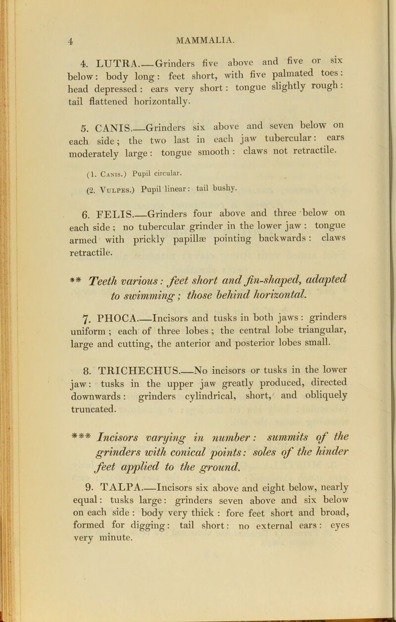 4. LUTRA Grinders five above and five or six below: body long: feet short, with five palmated toes: head depressed: ears very short: tongue slightly rough. tail flattened horizontally. 5. CANIS. Grinders six above and seven below on each side; the two last in each jaw tubercular: ears moderately large: tongue smooth: claws not retiactile. (1. Canis.) Pupil circular. (2. Vulpes.) Pupil linear: tail bushy. 6. FELIS Grinders four above and three below on each side; no tubercular grinder in the lower jaw : tongue armed with prickly papillae pointing backwards: claws retractile. ** Teeth various: feet short and fin-shaped, adapted to swimming; those behind horizontal. 7. PHOCA Incisors and tusks in both jaws : grinders uniform ; each of three lobes ; the central lobe triangular, large and cutting, the anterior and posterior lobes small. 8. TRICHECHUS.—No incisors or tusks in the lower jaw: tusks in the upper jaw greatly produced, directed downwards: grinders cylindrical, short, and obliquely truncated. *** Incisors varying in number: summits of the grinders with conical points: soles of the hinder feet applied to the ground. 9. TALPA Incisors six above and eight below, nearly equal: tusks large: grinders seven above and six below on each side : body very thick : fore feet short and broad, formed for digging: tail short: no external ears: eyes very minute.