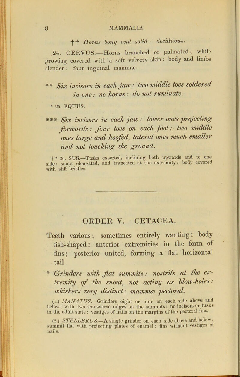 fj Horns bony and solid: deciduous. 24. CERVUS.—Horns branched or palmated; while growing covered with a soft velvety skin : body and limbs slender : four inguinal mammae. ** Six incisors in each jaw : two middle toes soldered in one: no horns: do not ruminate. * 25. EQUUS. *** Six incisors in each jaw; lower ones'projecting forwards: four toes on each foot; two middle ones large and hoofed, lateral ones much smaller and not touching the ground. t * 26. SUS.—'Tusks exserted, inclining both upwards and to one side: snout elongated, and truncated at the extremity : body covered with stiff bristles. ORDER V. CETACEA. Teeth various; sometimes entirely wanting: body fisli-shaped: anterior extremities in the form of fins; posterior united, forming a flat horizontal tail. * Grinders with flat summits: nostrils at the ex- tremity of the snout, not acting as hlow-holes: whiskers very distinct: mammce pectoral. (1.) MANATUS.—Grinders eight or nine on each side above and below; with two transverse ridges on the summits: no incisors or tusks in the adult state: vestiges of nails on the margins of the pectoral fins. (2.) STELLERUS.—A single grinder on each side above and below; summit fiat, with projecting plates of enamel: fins without vestiges of nails.