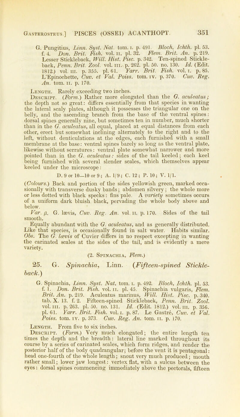 G. Pungitius, Linn. Syst. Nat. tom. i. p. 491. Bloch, Ichth. pi. 53. f. 4. Don. Brit. Fish. vol. ii. pi. 32. Flem. Brit. An. p. 219. Lesser Stickleback, Will. Hist. Pise. p. 342. Ten-spined Stickle- back, Penn. Brit. Zool. vol. hi. p. 262. pi. 50. no. 130. Id. (Edit. 1812.) vol. HI. p. 355. pi. 61. Yarr. Brit. Fish. vol. i. p. 85. L’Epinochette, Guv. et Val. Poiss. tom. iv. p. 370. Guv. Reg. An. tom. ii. p. 170. Length. Rarely exceeding two inches. Descript. {Form.) Rather more elongated than the G. aculeatus; the depth not so great: differs essentially from that species in wanting the lateral scaly plates, although it possesses the triangular one on the belly, and the ascending branch from the base of the ventral spines: dorsal spines generally nine, but sometimes ten in number, much shorter than in the G aculeatus, all equal, placed at equal distances from each other, erect but somewhat inclining alternately to the right and to the left, without denticulations at the edges, each furnished with a small membrane at the base: ventral spines barely so long as the ventral plate, likewise without serratures: ventral plate somewhat narrower and more pointed than in the G. aculeatus: sides of the tail keeled; each keel being furnished with several slender scales, which themselves appear keeled under the microscope: D. 9 or 10—10 or 9; A. 1/9; C. 12; P. 10; V. 1/1. {Colours.) Back and portion of the sides yellowish green, marked occa- sionally with transverse dusky bands; abdomen silvery; the whole more or less dotted with black specks: fins pale. A variety sometimes occurs of a uniform dark bluish black, pervading the whole body above and below. Var. p. G. lsevis, Cuv. Reg. An. vol. ii. p. 170. Sides of the tail smooth. Equally abundant with the G. aculeatus, and as generally distributed. Like that species, is occasionally found in salt water. Habits similar. Obs. The G. lewis of Cuvier differs in no respect excepting in wanting the carinated scales at the sides of the tail, and is evidently a mere variety. (2. Spinachia, Flem.) 25. G. Spinachia, Linn. (Fifteen-spined Stickle- back.) G. Spinachia, Linn. Syst. Nat. tom. i. p. 492. Bloch, Ichth. pi. 53. f. 1. Don. Brit. Fish. vol. ii. pi. 45. Spinachia vulgaris, Flem. Brit. An. p. 219. Aculeatus marinus, Will. Hist. Pise. p. 340. tab. X. 13. f. 2. Fifteen-spined Stickleback, Penn. Brit. Zool. vol. hi. p. 263. pi. 50. no. 131. Id. (Edit. 1812.) vol. in. p. 356. pi. 61. Yarr. Brit. Fish. vol. i. p. 87. Le Gastre, Cuv. et Val. Poiss. tom. iv. p. 373. Cuv. Reg. An. tom. ii. p. 170. Length. From five to six inches. Descript. {Form.) Very much elongated; the entire length ten times the depth and the breadth: lateral line marked throughout its course by a series of carinated scales, which form ridges, and render the posterior half of the body quadrangular; before the vent it is pentagonal: head one-fourth of the whole length; snout very much produced; mouth rather small; lower jaw longest: vertex flat, with a sulcus between the eyes: dorsal spines commencing immediately above the pectorals, fifteen