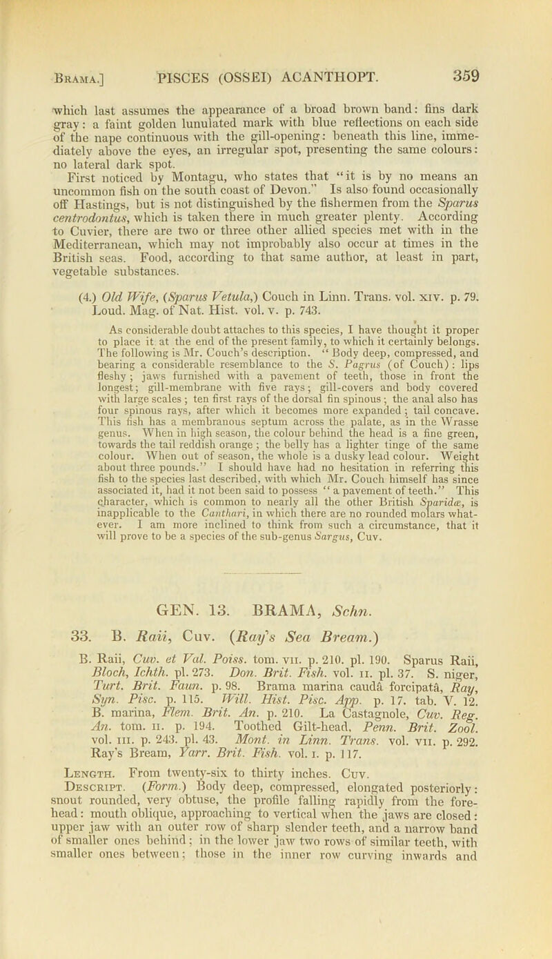 •which last assumes the appearance of a broad brown hand: fins dark gray: a faint golden lunulated mark with blue reflections on each side of the nape continuous with the gill-opening: beneath this line, imme- diately above the eyes, an irregular spot, presenting the same colours: no lateral dark spot. First noticed by Montagu, who states that “it is by no means an uncommon fish on the south coast of Devon.” Is also found occasionally off Hastings, but is not distinguished by the fishermen from the Sparus centrodontus, which is taken there in much greater plenty. According to Cuvier, there are two or three other allied species met with in the Mediterranean, which may not improbably also occur at times in the British seas. Food, according to that same author, at least in part, vegetable substances. (4.) Old Wife, (Sparus Vetula,) Couch in Linn. Trans, vol. xiv. p. 79. Loud. Mag. of Nat. Hist. vol. v. p. 743. • As considerable doubt attaches to this species, I have thought it proper to place it at the end of the present family, to which it certainly belongs. The following is Mr. Couch’s description. “ Body deep, compressed, and bearing a considerable resemblance to the S. Pagrus (of Couch): lips fleshy ; jaws furnished with a pavement of teeth, those in front the longest; gill-membrane with five rays; gill-covers and body covered with large scales ; ten first rays of the dorsal fin spinous; the anal also has four spinous rays, after which it becomes more expanded; tail concave. This fish has a membranous septum across the palate, as in the Wrasse genus. When in high season, the colour behind the head is a fine green, towards the tail reddish orange ; the belly has a lighter tinge of the same colour. When out of season, the whole is a dusky lead colour. Weight about three pounds.” I should have had no hesitation in referring this fish to the species last described, with which Mr. Couch himself has since associated it, had it not been said to possess “ a pavement of teeth.” This character, which is common to nearly all the other British SparidiE, is inapplicable to the Canthari, in which there are no rounded molars what- ever. 1 am more inclined to think from such a circumstance, that it will prove to be a species of the sub-genus Sargus, Cuv. GEN. 13. BRAMA, Schn. 33. B. Rail, Cuv. (Ray's Sea Bream.) B. Raii, Cuv. at Vul. Poiss. tom. vii. p. 210. pi. 190. Sparus Raii, Bloch, Ichth. pi. 273. Don. Brit. Fish. vol. n. pi. 37. S. niger, Turt. Brit. Faun. p. 98. Brama marina caiula. forcipat.a, Ray, Syn. Pise. p. 115. Will. Hist. Pise. App. p. 17. tab. V. 12. B. marina, Flem. Brit. An. p. 210. La Castagnole, Cuv. Reg. An. tom. ii. p. 194. Toothed Gilt-head, Penn. Brit. Zool. vol. hi. p. 243. pi. 43. Mont, in Linn. Trans, vol. vii. p. 292. Ray’s Bream, Yarr. Brit. Fish. vol. i. p. 117. Length. From twenty-six to thirty inches. Cuv. Descript. (Form.) Body deep, compressed, elongated posteriorly: snout rounded, very obtuse, the profile falling rapidly from the fore- head : mouth oblique, approaching to vertical when the jaws are closed: upper jaw with an outer row of sharp slender teeth, and a narrow hand of smaller ones behind; in the lower jaw two rows of similar teeth, with smaller ones between; those in the inner row curving inwards and