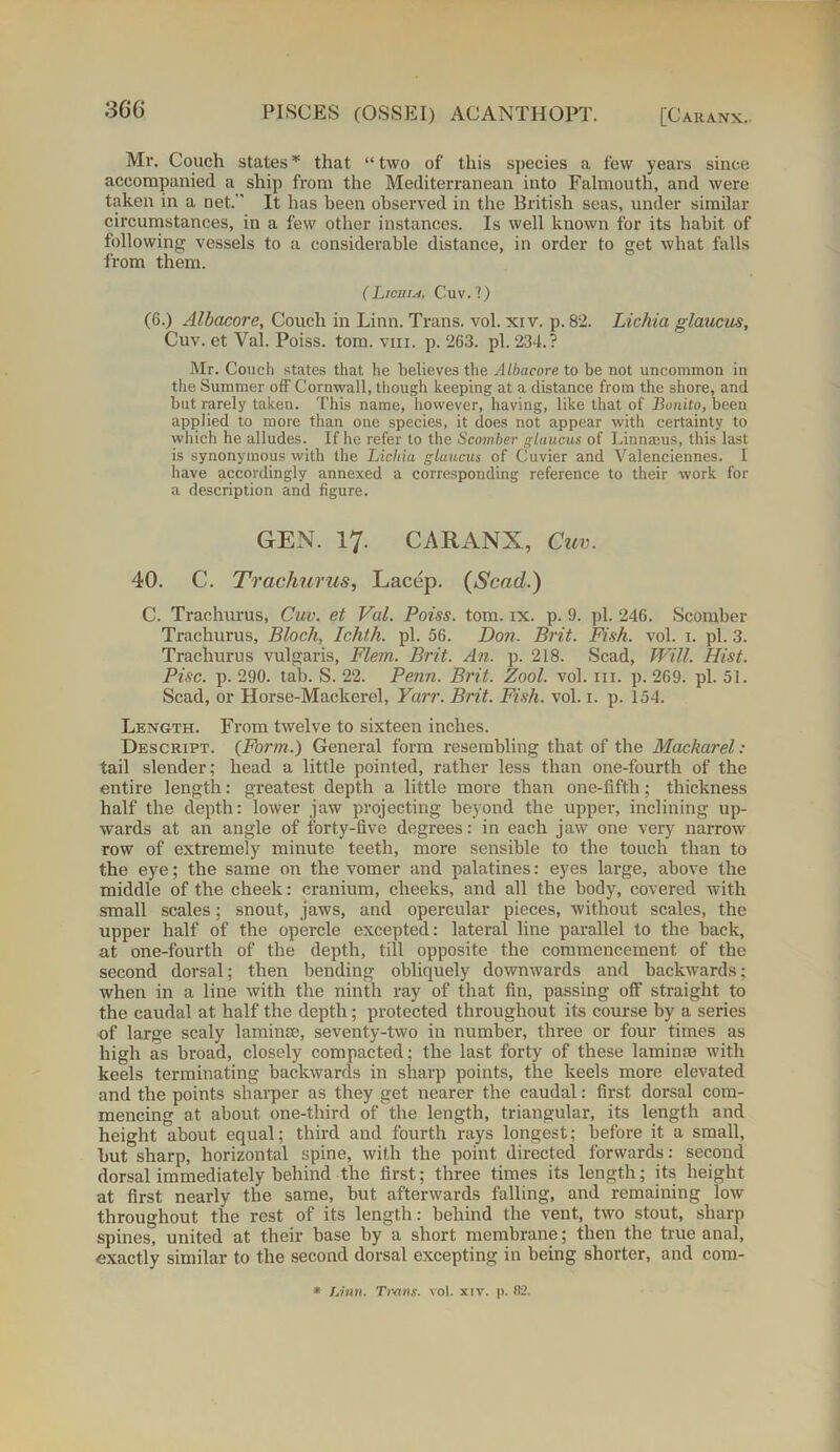 Mr. Couch states * that “ two of this species a few years since accompanied a ship from the Mediterranean into Falmouth, and were taken in a net.” It has been observed in the British seas, under similar circumstances, in a few other instances. Is well known for its habit of following vessels to a considerable distance, in order to get what falls from them. ( Licuia, Cuv.?) (6.) Albacore, Couch in Linn. Trans, vol. xiv. p. 82. Lichia glaucus, Cuv. et Val. Poiss. tom. vm. p. 263. pi. 234.? Mr. Couch states that he believes the Albacore to be not uncommon in the Summer off Cornwall, though keeping at a distance from the shore, and but rarely taken. This name, however, having, like that of Bonito, been applied to more than one species, it does not appear with certainty to which he alludes. If he refer to the Scomber glaucus of Linnaeus, this last is synonymous with the Lichia glaucus of Cuvier and Valenciennes. I have accordingly annexed a corresponding reference to their work for a description and figure. GEN. 17. CARANX, Cuv. 40. C. Trachurus, Lacep. (Scad.) C. Trachurus, Cuv. et Val. Poiss. tom. ix. p. 9. pi. 246. Scomber Trachurus, Bloch, Ichth. pi. 56. Don. Brit. Fish. vol. 1. pi. 3. Trachurus vulgaris, Flem. Brit. An. p. 218. Scad, Will. Hist. Pise. p. 290. tab. S. 22. Penn. Brit. Zool. vol. in. p. 269. pi. 51. Scad, or Horse-Mackerel, Yarr. Brit. Fish. vol. 1. p. 154. Length. From twelve to sixteen inches. Descript. {Form.) General form resembling that of the Mackarel: tail slender; head a little pointed, rather less than one-fourth of the entire length: greatest depth a little more than one-fifth; thickness half the depth: lower jaw projecting beyond the upper, inclining up- wards at an angle of forty-five degrees: in each jaw one very narrow row of extremely minute teeth, more sensible to the touch than to the eye; the same on the vomer and palatines: eyes large, above the middle of the cheek: cranium, cheeks, and all the body, covered with small scales: snout, jaws, and opercular pieces, without scales, the upper half of the opercle excepted: lateral line parallel to the back, at one-fourth of the depth, till opposite the commencement of the second dorsal; then bending obliquely downwards and backwards; when in a line with the ninth ray of that fin, passing off straight to the caudal at half the depth; protected throughout its course by a series of large scaly laminre, seventy-two in number, three or four times as high as broad, closely compacted; the last forty of these laminae with keels terminating backwards in sharp points, the keels more elevated and the points sharper as they get nearer the caudal: first dorsal com- mencing at about one-third of the length, triangular, its length and height about equal; third and fourth rays longest; before it a small, but sharp, horizontal spine, with the point directed forwards: second dorsal immediately behind the first; three times its length; its height at first nearly the same, but afterwards falling, and remaining low throughout the rest of its length: behind the vent, two stout, sharp spines, united at their base by a short membrane; then the true anal, exactly similar to the second dorsal excepting in being shorter, and com-