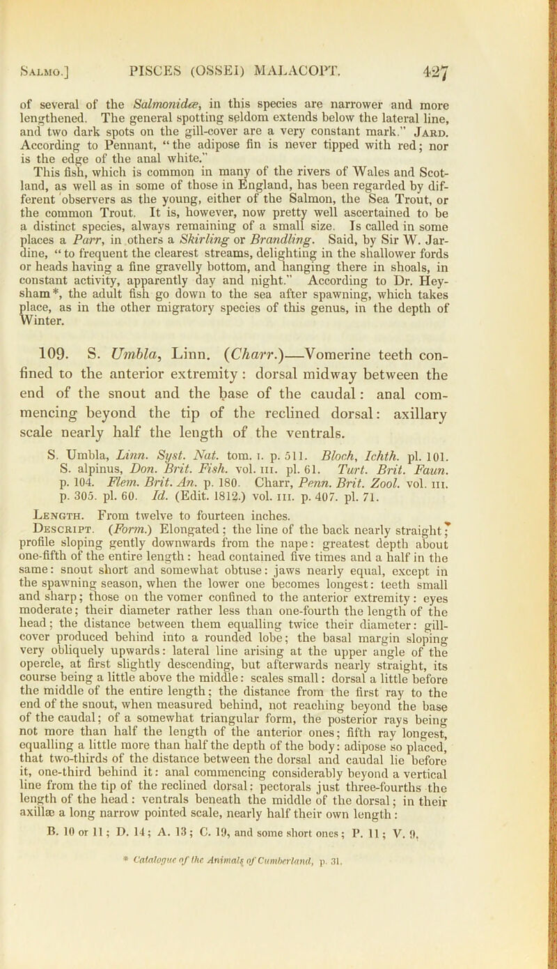 of several of the Salmonidce, in this species are narrower and more lengthened. The general spotting seldom extends below the lateral line, and two dark spots on the gill-cover are a very constant mark.” Jard. According to Pennant, “ the adipose fin is never tipped with red; nor is the edge of the anal white. This fish, which is common in many of the rivers of Wales and Scot- land, as well as in some of those in England, has been regarded by dif- ferent observers as the young, either of the Salmon, the Sea Trout, or the common Trout. It is, however, now pretty well ascertained to be a distinct species, always remaining of a small size. Is called in some places a Parr, in others a Skirling or Brandling. Said, by Sir W. Jar- dine, “ to frequent the clearest streams, delighting in the shallower fords or heads having a fine gravelly bottom, and hanging there in shoals, in constant activity, apparently day and night.” According to Dr. Hey- sham*, the adult fish go down to the sea after spawning, which takes place, as in the other migratory species of this genus, in the depth of Winter. 109. S. Umbla, Linn. (Charr.)—Vomerine teeth con- fined to the anterior extremity : dorsal midway between the end of the snout and the base of the caudal: anal com- mencing beyond the tip of the reclined dorsal: axillary scale nearly half the length of the ventrals. S. Umbla, Linn. Syst. Nat. tom. 1. p. 511. Bloch, Ichth. pi. 101. S. alpinus, Don. Brit. Fish. vol. hi. pi. 61. Tart. Brit. Faun. p. 104. Flem. Brit. An. p. 180. Charr, Penn. Brit. Zool. vol. m. p. 305. pi. 60. Id. (Edit. 1812.) vol. in. p. 407. pi. 71. Length. From twelve to fourteen inches. Descript. (Form.) Elongated; the line of the back nearly straight J profile sloping gently downwards from the nape: greatest depth about one-fifth of the entire length : head contained five times and a half in the same: snout short and somewhat obtuse: jaws nearly equal, except in the spawning season, when the lower one becomes longest: teeth small and sharp; those on the vomer confined to the anterior extremity: eyes moderate; their diameter rather less than one-fourth the length of the head; the distance between them equalling twice their diameter: gill- cover produced behind into a rounded lobe; the basal margin sloping very obliquely upwards: lateral line arising at the upper angle of the opercle, at first slightly descending, but afterwards nearly straight, its course being a little above the middle: scales small: dorsal a little before the middle of the entire length; the distance from the first ray to the end of the snout, when measured behind, not reaching beyond the base of the caudal; of a somewhat triangular form, the posterior rays being not more than half the length of the anterior ones; fifth ray longest, equalling a little more than half the depth of the body: adipose so placed, that two-thirds of the distance between the dorsal and caudal lie before it, one-third behind it: anal commencing considerably beyond a vertical line from the tip of the reclined dorsal: pectorals just three-fourths the length of the head : ventrals beneath the middle of the dorsal; in their axillae a long narrow pointed scale, nearly half their own length : B. 10 or 11; D. 14; A. 13; C. 19, and some short ones; P. 11; V. 9, * Catalogue nf the Animals of Cumberland, p. 31.