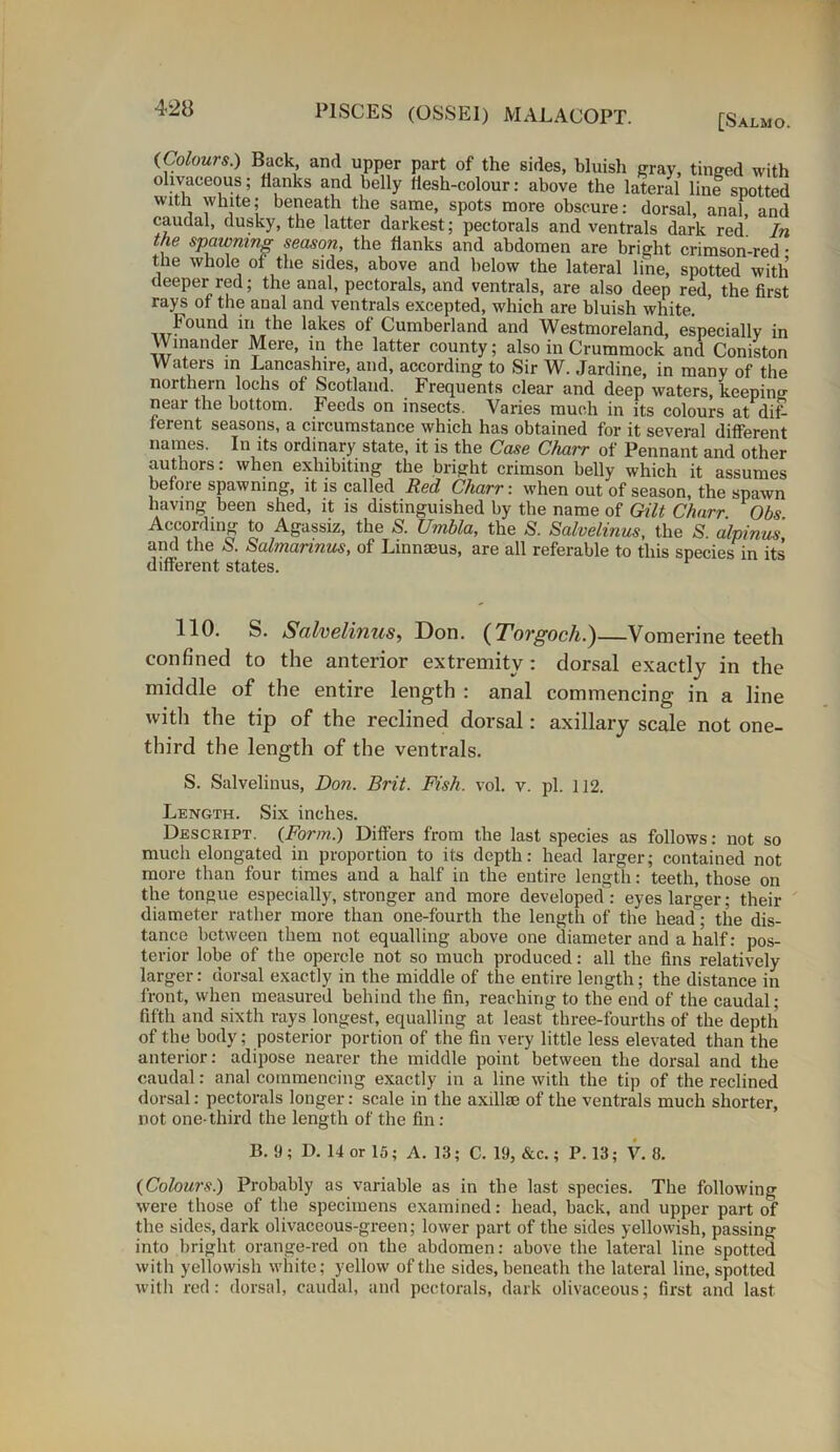 [Salmo. (Colours.) Back and upper part of the sides, bluish gray, tinged with olivaceous; Hanks and belly flesh-colour: above the lateral line spotted with white; beneath the same, spots more obscure: dorsal, anal, and caudal, dusky, the latter darkest; pectorals and ventrals dark red. In the spawning season, the flanks and abdomen are bright crimson-red • the whole of the sides, above and below the lateral line, spotted with deeper red; the anal, pectorals, and ventrals, are also deep red, the first rays of the anal and ventrals excepted, which are bluish white. i** the lakes ol Cumberland and Westmoreland, especially in Wmander Mere, in the latter county; also in Crummock and Coniston Waters in Lancashire, and, according to Sir W. Jardine, in many of the northern lochs of Scotland. Frequents clear and deep waters, keeping near the bottom. Feeds on insects. Varies much in its colours at dif- ferent seasons, a circumstance which has obtained for it several different names. In its ordinary state, it is the Case Charr of Pennant and other authors: when exhibiting the bright crimson belly which it assumes before spawning, it is called Red Charr: when out of season, the spawn having been shed, it is distinguished by the name of Gilt Charr. Obs. According to Agassiz, the S. JJrnbla, the -S. Salvelinus, the S. alpinus and the S. Salmarinus, of Linnaeus, are all referable to this species in its different states. 1 110. S. Salvelinus, Don. (Torgoch.)—Vomerine teeth confined to the anterior extremity: dorsal exactly in the middle of the entire length : anal commencing in a line with the tip of the reclined dorsal: axillary scale not one- third the length of the ventrals. S. Salvelinus, Don. Brit. Fish. vol. v. pi. 112. Length. Six inches. Descript. (Form.) Differs from the last species as follows: not so much elongated in proportion to its depth: head larger; contained not more than four times and a half in the entire length: teeth, those on the tongue especially, stronger and more developed : eyes larger; then- diameter rather more than one-fourth the length of the head ; the dis- tance between them not equalling above one diameter and a half: pos- terior lobe of the opercle not so much produced: all the fins relatively larger: dorsal exactly in the middle of the entire length; the distance in front, when measured behind the fin, reaching to the end of the caudal; fifth and sixth rays longest, equalling at least three-fourths of the depth of the body; posterior portion of the fin very little less elevated than the anterior: adipose nearer the middle point between the dorsal and the caudal: anal commencing exactly in a line with the tip of the reclined dorsal: pectorals longer: scale in the axillae of the ventrals much shorter, not one-third the length of the fin: B. 9; D. 14 or 15; A. 13; C. 19, &c.; P. 13; V. 8. (Colours.) Probably as variable as in the last species. The following were those of the specimens examined: head, back, and upper part of the sides, dark olivaceous-green; lower part of the sides yellowish, passing into bright orange-red on the abdomen: above the lateral line spotted with yellowish white; yellow of the sides, beneath the lateral line, spotted with red: dorsal, caudal, and pectorals, dark olivaceous; first and last