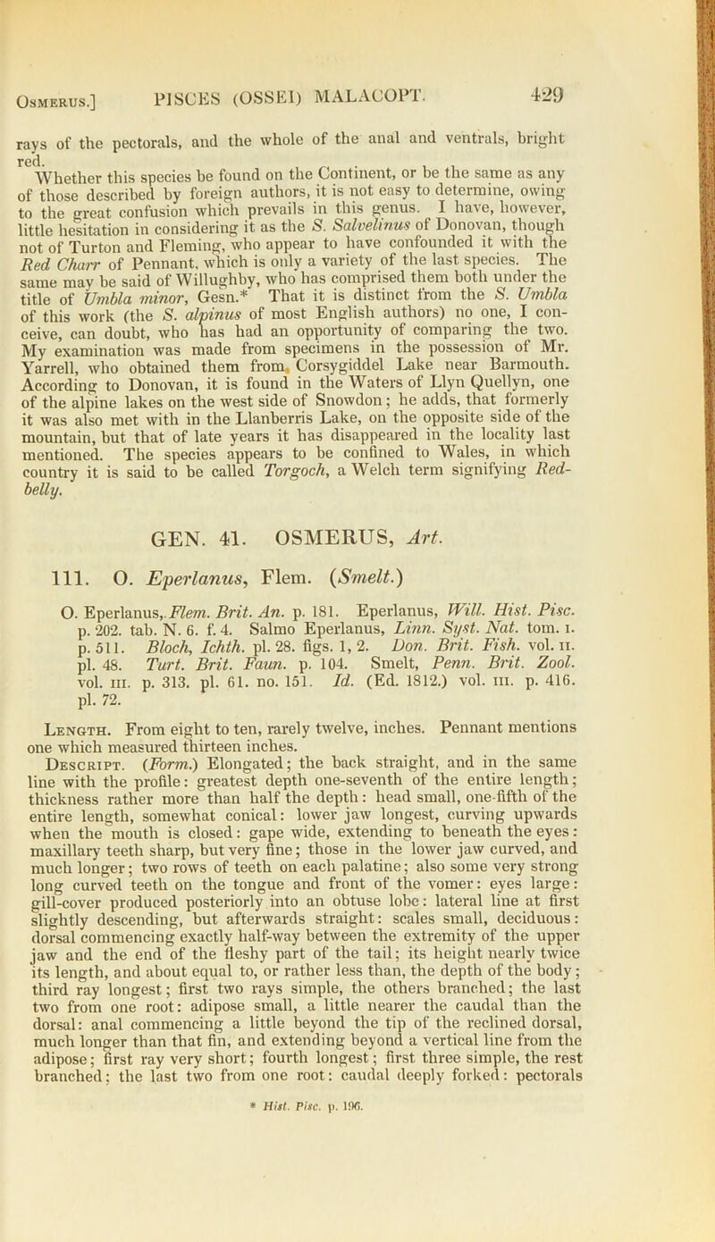 OSMERUS.] rays of the pectorals, and the whole of the anal and ventrals, bright red. Whether this species be found on the Continent, or be the same as any of those described by foreign authors, it is not easy to determine, owing to the great confusion which prevails in this genus. _ I have, however, little hesitation in considering it as the S. Salvelinus of Donovan, though not of Turton and Fleming, who appear to have confounded it with the Red Chair of Pennant, which is only a variety of the last species. The same may be said of Willughby, who has comprised them both under the title of Umbla minor, Gesn.* That it is distinct from the S. Umbla of this work (the S. alpinus of most English authors) no one, I con- ceive, can doubt, who has had an opportunity of comparing the two. My examination was made from specimens in the possession of Mr. Yarrell, who obtained them from, Corsygiddel Lake near Barmouth. According to Donovan, it is found in the Waters of Llyn Quellyn, one of the alpine lakes on the west side of Snowdon ; he adds, that formerly it was also met with in the Llanberris Lake, on the opposite side of the mountain, but that of late years it has disappeared in the locality last mentioned. The species appears to be confined to Wales, in which country it is said to be called Torgoch, a Welch term signifying Red- belly. GEN. 41. OSMERUS, Art. 111. O. Eperlanus, Flem. (Smelt.) O. Eperlanus,. Flem. Brit. An. p. 181. Eperlanus, Will. Hist. Pise. p. 202. tab. N. 6. f. 4. Salmo Eperlanus, Linn. Syst. Nat. tom. i. p. 511. Bloch, Ichth. pi. 28. figs. 1, 2. Don. Brit. Fish. vol. n. pi. 48. Tart. Brit. Faun, p.104. Smelt, Penn. Brit. Zool. vol. in. p. 313. pi. 61. no. 151. Id. (Ed. 1812.) vol. iii. p. 416. pi. 72. Length. From eight to ten, rarely twelve, inches. Pennant mentions one which measured thirteen inches. Descript. {Form.) Elongated; the back straight, and in the same line with the profile: greatest depth one-seventh of the entire length; thickness rather more than half the depth: head small, one-fifth of the entire length, somewhat conical: lower jaw longest, curving upwards when the mouth is closed: gape wide, extending to beneath the eyes: maxillary teeth sharp, but very fine; those in the lower jaw curved, and much longer; two rows of teeth on each palatine; also some very strong long curved teeth on the tongue and front of the vomer: eyes large: gill-cover produced posteriorly into an obtuse lobe: lateral line at first slightly descending, but afterwards straight: scales small, deciduous: dorsal commencing exactly half-way between the extremity of the upper jaw and the end of the fleshy part of the tail; its height nearly twice its length, and about equal to, or rather less than, the depth of the body; third ray longest; first two rays simple, the others branched; the last two from one root: adipose small, a little nearer the caudal than the dorsal: anal commencing a little beyond the tip of the reclined dorsal, much longer than that fin, and extending beyond a vertical line from the adipose; first ray very short; fourth longest; first three simple, the rest branched; the last two from one root: caudal deeply forked: pectorals * Hist. Pise. i>- iw>-