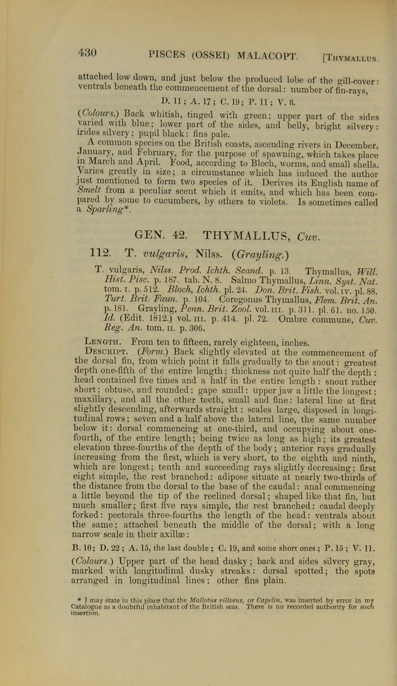 [Thymallus. attached low down, and just below the produced lobe of the ill-cover: ventrals beneath the commencement of the dorsal: number of fin-rays, D. 11; A. 17; C. 19; P. ll ; V. 8. {Colours.) Back whitish, tinged with green; upper part of the sides varied with blue; lower part of the sides, and belly, bright silvery: lrides silvery; pupil black: fins pale. A common species on the British coasts, ascending rivers in December, January, and February, for the purpose of spawning, which takes place in March and April. Food, according to Bloch, worms, and small shells. Varies greatly in size; a circumstance which has induced the author just mentioned to form two species of it. Derives its English name of Smelt irom a peculiar scent which it emits, and which has been com- pared by some to cucumbers, by others to violets. Is sometimes called a Sparling*. GEN. 42. THYMALLUS, Cuv. 112. T. vulgar 'is, Nilss. (Grayling.) T. vulgaris, Nilss. Prod. Ichth. Sr.and. p. 13. Thymallus, Will. Hist. Pise. p. 187. tab. N. 8. Salmo Thymallus, Linn. Syst. Nat. tom. i. p. 512. Bloch, Ichth. pi. 24. Don. Brit. Fish. vol. iv. pi. 88. Tart. Brit. Faun. p. 104. Coregonus Thymallus, Hem. Brit. An. p. 181. Grayling, Penn. Brit. Zool. vol. hi. p. 311. pi. 61. no. 150. Id. (Edit. 1812.) vol. hi. p. 414. pi. 72. Ombre commune, Cuv. Reg. An. tom. n. p. 306. Length. From ten to fifteen, rarely eighteen, inches. Descript. {Form.) Back slightly elevated at the commencement of the dorsal fin, from which point it falls gradually to the snout: greatest depth one-fifth of the entire length; thickness not quite half the depth : head contained five times and a half in the entire length : snout rather short; obtuse, and rounded: gape small: upper jaw a little the longest: maxillary, and all the other teeth, small and fine: lateral line at first slightly descending, afterwards straight: scales large, disposed in longi- tudinal rows; seven and a half above the lateral line, the same number below it: dorsal commencing at one-third, and occupying about one- fourth, of the entire length; being twice as long as high; its greatest elevation three-fourths of the depth of the body; anterior rays gradually increasing from the first, which is very short, to the eighth and ninth, which are longest; tenth and succeeding rays slightly decreasing; first eight simple, the rest branched: adipose situate at nearly two-thirds of the distance from the dorsal to the base of the caudal: anal commencing a little beyond the tip of the reclined dorsal; shaped like that fin, but much smaller; first five rays simple, the rest branched: caudal deeply forked: pectorals three-fourths the length of the head: ventrals about the same; attached beneath the middle of the dorsal; with a long narrow scale in their axillae : B. 10; D. 22 ; A. 15, the last double ; C. 19, and some short ones; P. 15 ; V. 11. {Colours.) Upper part of the head dusky; back and sides silvery gray, marked with longitudinal dusky streaks: dorsal spotted; the spots arranged in longitudinal lines: other fins plain. * I may state in this place that the Mattotus villosus, or Capelin, was inserted by error in my Catalogue as a doubtful inhabitant of the British seas. There is no recorded authority for such insertion.