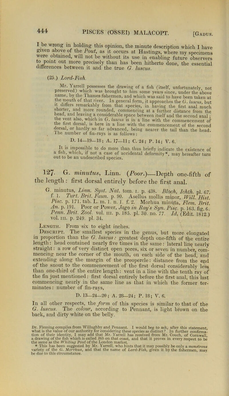 [Gadus. I be wrong in holding this opinion, the minute description which I have given above of the Pout, as it occurs at Hastings, where my specimens were obtained, will not be without its use in enabling future observers to pomt out more precisely than has been hitherto done, the essential tlitterences between it and the true G. luscus. (25.) Lord-Fish. Mr. Yarrell possesses the drawing of a fish (itself, unfortunately, not preserved) which was brought to him some years since, under the above name, by the 1 hames fishermen, and which was said to have been taken at 0 that rJver* In general form, it approaches the G. luscus, but it differs remarkably from that species, in having the first anal much snorter, and more rounded, commencing at a further distance from the head, and leaving a considerable space between itself and the second anal; the vent also, which in G. luscus is in a line with the commencement of the first dorsal, is here in a line with the commencement of the second dorsal, or hardly so far advanced, being nearer the tail than the head. 1 he number of fin-rays is as follows: D. 14—19—18; A. 17—11; C. 24; P. 14; V. 6. It is impossible to do more than thus briefly indicate the existence of a nsh, which, if not a case of accidental deformity*, may hereafter turn out to be an undescribed species. 127. G. minutus, Linn. (Poor.)—Depth one-fifth of the length : first dorsal entirely before the first anal. G. minutus, Linn. Syst. Nat. tom. 1. p. 438. Bloch, Ichth. pi. 67. f. 1. Turt. Brit. Fuun. p. 90. Asellus mollis minor, Will. Hist. Pise. p. 171. tab. L. m. 1. n. 1. f. 2. Morliua minuta, Flem. Brit. An. p. 191. Poor or Power, Logo in Ray's Syn. Pise. p. 163 fio- e Penn. Brit. Zool. vol. in. p. 185. pi. 30. no. 77. Id. (Edit. 1812 ) vol. in. p. 249. pi. 34. Length. From six to eight inches. Descript. The smallest species in the genus, but more elongated in proportion than the G. luscus: greatest depth one-fifth of the entire length: head contained nearly five times in the same : lateral line nearly straight: a row of very distinct open pores, six or seven in number, com- mencing near the corner of the mouth, on each side of the head, and extending along the margin of the preopercle: distance from the end of the snout to the commencement of the first dorsal considerably less than one-third of the entire length: vent in a line with the tenth ray of the fin just mentioned: first dorsal entirely before the first anal, this last commencing nearly in the same line as that in which the former ter- minates : number of fin-rays, D. 13—24—20; A. 28—24; P. 18; V. 6. In all other respects, the form of this species is similar to that of the G. luscus. The colour, according to Pennant, is light brown on the back, and dirty white on the belly. Dr. Fleming compiles from Willughby and Pennant. I would beg to ask, after this statement, what is the value of our authority for considering these species as distinct? In further confirma- tion of their identity, I may add that Mr. Yarrell has received from Mr. Couch, of Cornwall, a drawing of the fish which is called Bib on that coast, and that it proves in every respect to be the same as the Whiting Pout of the London market. * This has been suggested by Mr. Yarrell, who hints that it may possibly be only a monstrous variety of the G. Morrhua, and that the name of Lord-Fish, given it by the fishermen, may be due to this circumstance.