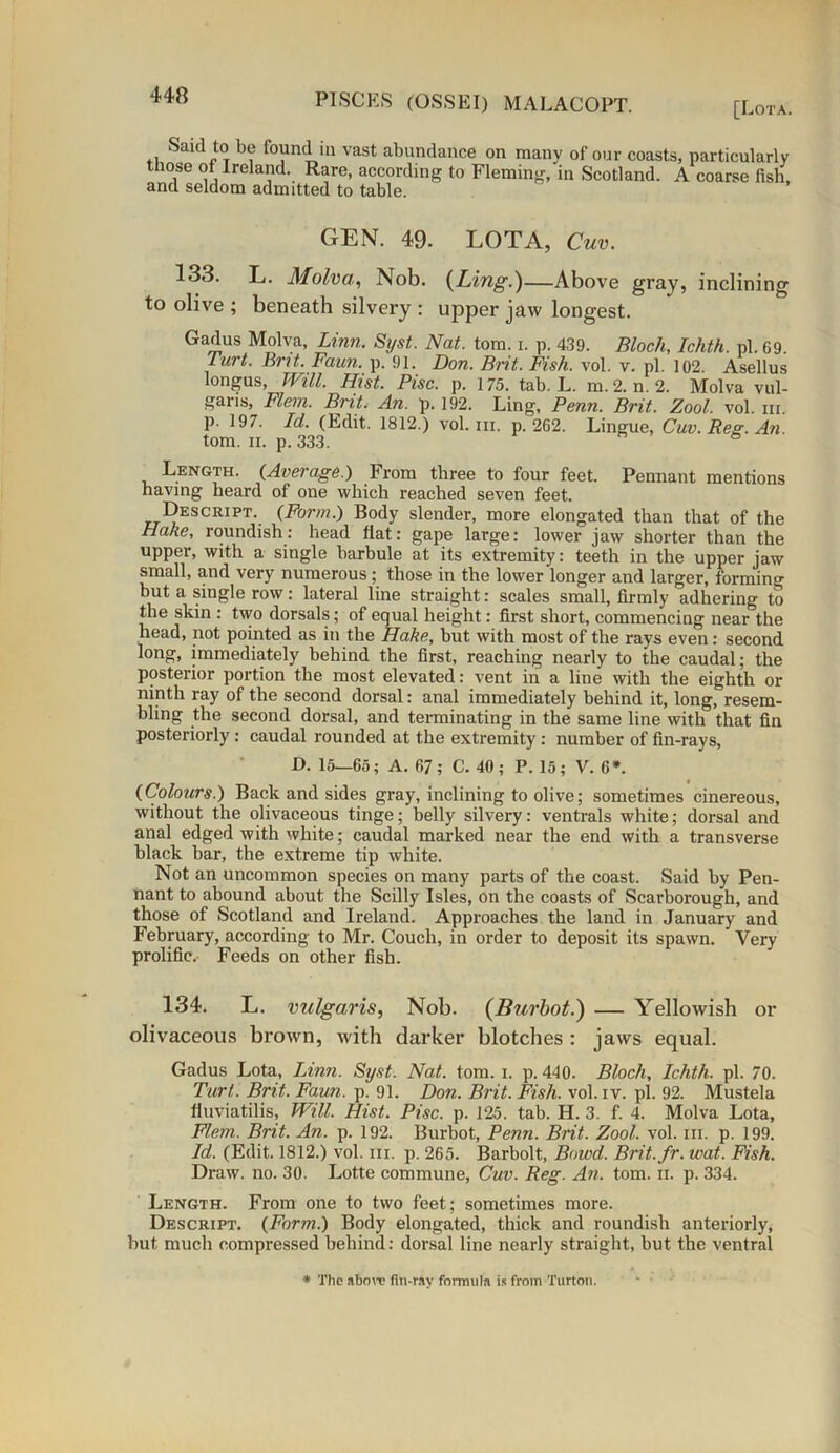 [Lota. Said to be found in vast abundance on many of our coasts, particularly those of Ireland. Rare, according to Fleming, in Scotland. A coarse fish, and seldom admitted to table. GEN. 49. LOTA, Cuv. 133. L. Molva, Nob. (Ling.)—Above gray, inclining to olive ; beneath silvery : upper jaw longest. Gadus Molva, Linn. Syst. Nat. tom. i. p. 439. Bloch, Ichth. pi. 69. Turt. Brit. Faun. p. 91. Don. Brit. Fish. vol. v. pi. 102. Asellus longus, Will. Hist. Pise. p. 175. tab. L. m.2. n. 2. Molva vul- gaiis, Flem. Brit. An. p. 192. Ling, Penn. Brit. Zool. vol. hi. p. 197. Id. (Edit. 1812.) vol. m. p.262. Lingue, Cuv. Res. An tom. ii. p. 333. Length. (Average.) From three to four feet. Pennant mentions having heard of one which reached seven feet. Descript. (Form.) Body slender, more elongated than that of the Hake, roundish: head flat: gape large: lower jaw shorter than the upper, with a single barbule at its extremity: teeth in the upper jaw small, and very numerous; those in the lower longer and larger, forming but a single row: lateral line straight: scales small, firmly adhering to the skin : two dorsals; of equal height: first short, commencing near the head, not pointed as in the Hake, but with most of the rays even: second long, immediately behind the first, reaching nearly to the caudal; the posterior portion the most elevated: vent in a line with the eighth or ninth ray of the second dorsal: anal immediately behind it, long, resem- bling the second dorsal, and terminating in the same line with that fin posteriorly: caudal rounded at the extremity : number of fin-rays, JD. 15—65; A. 67 ; C. 40 ; P. 15 ; V. 6*. (Colours.) Back and sides gray, inclining to olive; sometimes cinereous, without the olivaceous tinge; belly silvery: ventrals white; dorsal and anal edged with white; caudal marked near the end with a transverse black bar, the extreme tip white. Not an uncommon species on many parts of the coast. Said by Pen- nant to abound about the Scilly Isles, on the coasts of Scarborough, and those of Scotland and Ireland. Approaches the land in January and February, according to Mr. Couch, in order to deposit its spawn. Very prolific.- Feeds on other fish. 134. L. vulgaris, Nob. (Burbot.) — Yellowish or olivaceous brown, with darker blotches : jaws equal. Gadus Lota, Linn. Syst. Nat. tom. i. p. 440. Bloch, Ichth. pi. 70. Tart. Brit. Faun. p. 91. Don. Brit. Fish. vol. iv. pi. 92. Mustela fluviatilis, Will. Hist. Pise. p. 125. tab. H. 3. f. 4. Molva Lota, Flem. Brit. An. p. 192. Burbot, Penn. Brit. Zool. vol. hi. p. 199. Id. (Edit. 1812.) vol. hi. p. 265. Barbolt, Bowd. Brit.fr. wot. Fish. Draw. no. 30. Lotte commune, Cuv. Reg. An. tom. n. p. 334. Length. From one to two feet; sometimes more. Descript. (Form.) Body elongated, thick and roundish anteriorly, but much compressed behind: dorsal line nearly straight, but the ventral * The above fin-rav formula is from Turton.