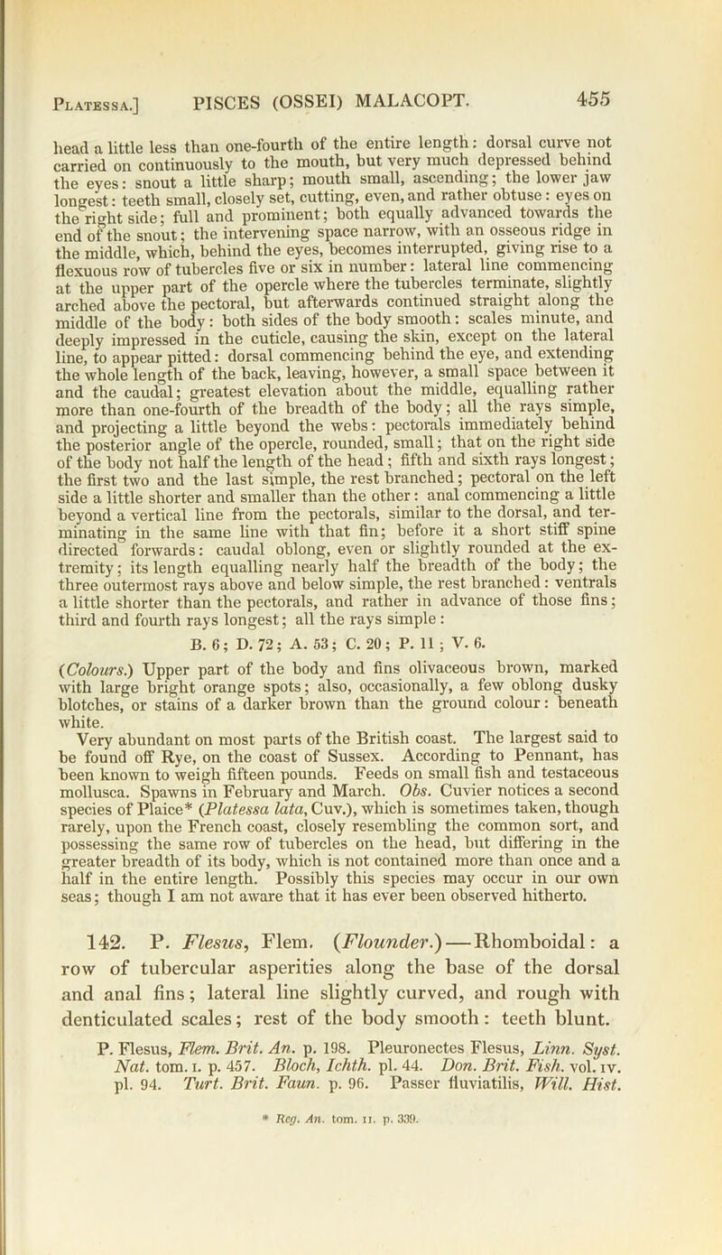 head a little less than one-fourth of the entire length: dorsal curve not carried on continuously to the mouth, but very much depressed behind the eyes: snout a little sharp; mouth small, ascending, the lowei jaw longest: teeth small, closely set, cutting, even, and rather obtuse: eyes on the right side; full and prominent; both equally advanced towards the end of the snout; the intervening space narrow, with an osseous ridge in the middle, which, behind the eyes, becomes interrupted, giving nse to a flexuous row of tubercles five or six in number: lateral line commencing at the upper part of the opercle where the tubercles terminate, slightly arched above the pectoral, but afterwards continued straight along the middle of the body : both sides of the body smooth: scales minute, and deeply impressed in the cuticle, causing the skin, except on the lateral line, to appear pitted: dorsal commencing behind the eye, and extending the whole length of the back, leaving, however, a small space between it and the caudal; greatest elevation about the middle, equalling rather more than one-fourth of the breadth of the body; all the rays simple, and projecting a little beyond the webs: pectorals immediately behind the posterior angle of the opercle, rounded, small; that on the right side of the body not half the length of the head; fifth and sixth rays longest; the first two and the last simple, the rest branched; pectoral on the left side a little shorter and smaller than the other: anal commencing a little beyond a vertical line from the pectorals, similar to the dorsal, and ter- minating in the same line with that fin; before it a short stiff spine directed forwards: caudal oblong, even or slightly rounded at the ex- tremity ; its length equalling nearly half the breadth of the body; the three outermost rays above and below simple, the rest branched : ventrals a little shorter than the pectorals, and rather in advance of those fins; third and fourth rays longest; all the rays simple : B. 6 ; D. 72; A. 53; C. 20 ; P. 11 ; V. 6. {Colours.) Upper part of the body and fins olivaceous brown, marked with large bright orange spots; also, occasionally, a few oblong dusky blotches, or stains of a darker brown than the ground colour: beneath white. Very abundant on most parts of the British coast. The largest said to be found off Rye, on the coast of Sussex. According to Pennant, has been known to weigh fifteen pounds. Feeds on small fish and testaceous mollusca. Spawns in February and March. Obs. Cuvier notices a second species of Plaice* {Platessa lata, Cuv.), which is sometimes taken, though rarely, upon the French coast, closely resembling the common sort, and possessing the same row of tubercles on the head, but differing in the greater breadth of its body, which is not contained more than once and a half in the entire length. Possibly this species may occur in our own seas; though I am not aware that it has ever been observed hitherto. 142. P. Flesus, Flem. {Flounder.) — Rhomboidal: a row of tubercular asperities along the base of the dorsal and anal fins; lateral line slightly curved, and rough with denticulated scales; rest of the body smooth: teeth blunt. P. Flesus, Flem. Brit. An. p. 198. Pleuronectes Flesus, Linn. Syst. Nat. tom. i. p. 457. Bloch, Ichth. pi. 44. Don. Brit. Fish. vol. iv. pi. 94. Turt. Brit. Faun. p. 96. Passer lluviatilis, Will. Hist. * Reg. An. tom. ii. p. 339.