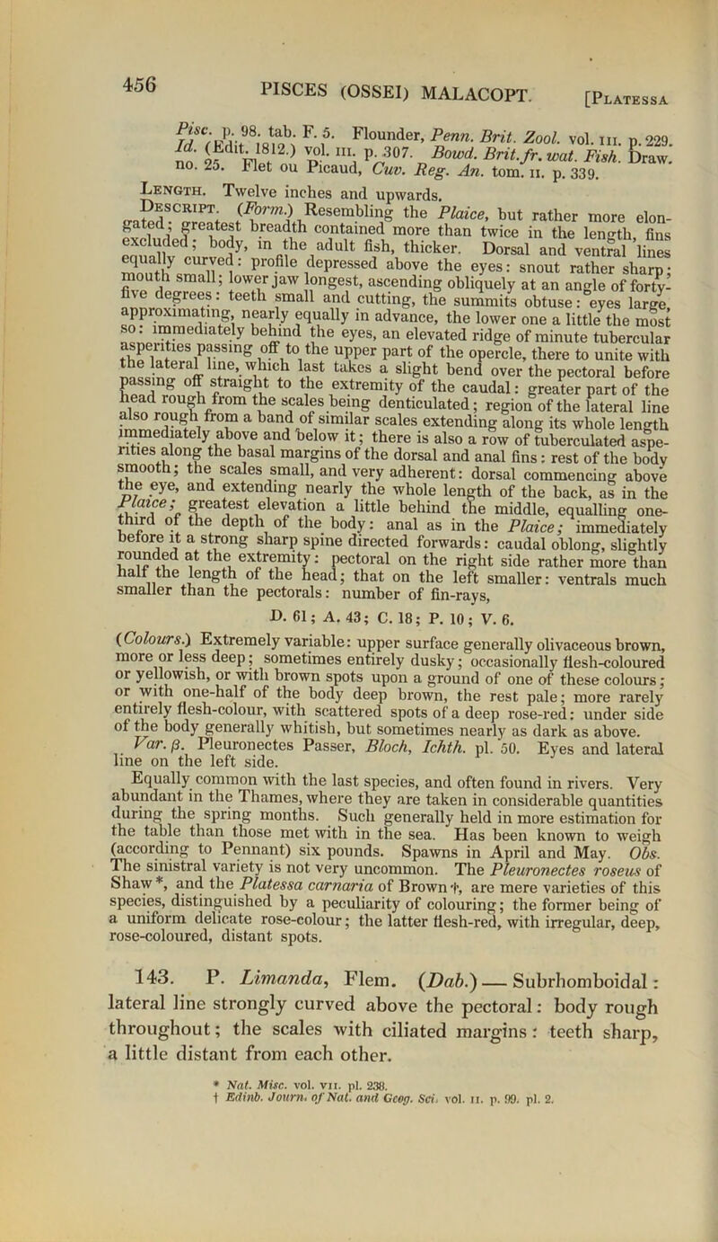 R ?' Flounder’ Prfnn- BriL ZoQl- vol. in. p. 229. i?dlt™1®12 ) ™.L ni* P- 307. Bowd. Brit.fr. wat. Fish. Draw, no. 25. Flet ou Picaud, Cuv. Reg. An. tom. ii. p. 339, Length. Twelve inches and upwards. Descript. {Form.) Resembling the Plaice, hut rather more elon- gated ; greatest breadth contained more than twice in the length fins ™ ; body> m the adult fish, thicker. Dorsal and ventral’lines P1°fi 6 i0preSSed above the e>'es: snout rather sharp; mouth small ; lower jaw longest, ascending obliquely at an angle of forty- degrees . teeth small and cutting, the summits obtuse: eyes large approximating, nearly equally in advance, the lower one a little the most v dmte-ly be«nd !he eyes> an elevated ridge of minute tubercular ffs,pg off to the upper part of the opercle, there to unite with mw!wrnff h|le,.;blc.h last takes a sllSbt bend over the pectoral before passing off straight to the extremity of the caudal: greater part of the head lough from the scales being denticulated; region of the lateral line also rough from a band of similar scales extending along its whole length immediately above and below it; there is also a row of tuberculated aspe- rities along the basal margins of the dorsal and anal fins : rest of the body smooth; the scales small, and very adherent: dorsal commencing above the eye, and extending nearly the whole length of the back, as in the Bence; gieatest elevation a little behind the middle, equalling one- third of the depth of the body: anal as in the Plaice; immediately before it a strong sharp spine directed forwards: caudal oblong, slightly rounded at the extremity: pectoral on the right side rather more than alt the length of the head; that on the left smaller: ventrals much smaller than the pectorals: number of fin-rays, D. 61; A.43; C. 18; P. 10; V. 6. (Colours.) Extremely variable: upper surface generally olivaceous brown, more or less deep; sometimes entirely dusky; occasionally flesh-coloured or yellowish, or with brown spots upon a ground of one of these colours; or with one-half of the body deep brown, the rest pale; more rarely entirely flesh-colour, with scattered spots of a deep rose-red: under side of the body generally whitish, hut sometimes nearly as dark as above. Var. p. Pleuronectes Passer, Bloch, Ichth. pi. 50. Eyes and lateral line on the left side. Equally common with the last species, and often found in rivers. Very abundant in the Thames, where they are taken in considerable quantities during the spring months. Such generally held in more estimation for the table than those met with in the sea. Has been known to weigh (according to Pennant) six pounds. Spawns in April and May. Obs. The sinistral variety is not very uncommon. The Pleuronectes roseus of Shaw*, and the Platessa carnaria of Brownt, are mere varieties of this species, distinguished by a peculiarity of colouring; the former being of a uniform delicate rose-colour; the latter flesh-red, with irregular, deep, rose-coloured, distant spots. 143. P. Limanda, Flem. (Dab.) — Subrhomboidal: lateral line strongly curved above the pectoral: body rough throughout; the scales with ciliated margins: teeth sharp, a little distant from each other. * Nat. Misc. vol. vii. pi. 238. t Edmb. Journ. of Nat. and Gcog. Sci, vol. ii. p. 39. pi. 2.