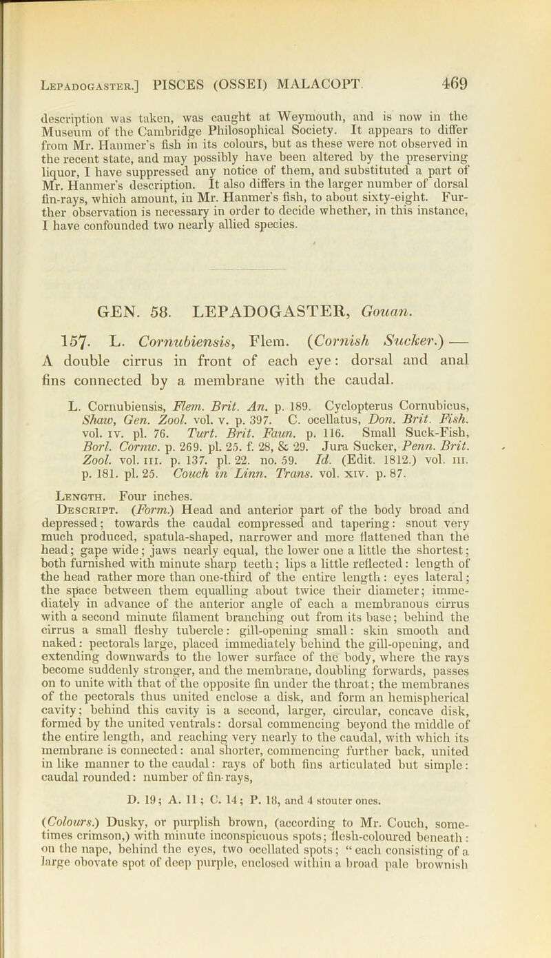 description was taken, was caught at Weymouth, and is now in the Museum of the Cambridge Philosophical Society. It appears to differ from Mr. Hanmer’s fish in its colours, but as these were not observed in the recent state, and may possibly have been altered by the preserving liquor, I have suppressed any notice of them, and substituted a part of Mr. Hanmer's description. It also differs in the larger number of dorsal fin-rays, which amount, in Mr. Hanmer's fish, to about sixty-eight. Fur- ther observation is necessary in order to decide whether, in this instance, I have confounded two nearly allied species. GEN. 58. LEPADOGASTER, Gouan. 157- L. Cornubiensis, Flem. (Cornish Sucker.) — A double cirrus in front of each eye: dorsal and anal fins connected by a membrane with the caudal. L. Cornubiensis, Flem. Brit. An. p. 189. Cyclopterus Cornubicus, Shaw, Gen. Zool. vol. v. p. 397. C. ocellatus, Don. Brit. Fish. vol. iv. pi. 76. Turt. Brit. Faun. p. 116. Small Suck-Fish, Borl. Cornw. p. 269. pi. 25. f. 28, & 29. Jura Sucker, Penn. Brit. Zool. vol. hi. p. 137. pi. 22. no. 59. Id. (Edit. 1812.) vol. in. p. 181. pi. 25. Couch in Linn. Trans, vol. xiv. p. 87. Length. Four inches. Descript. (Form.) Head and anterior part of the body broad and depressed; towards the caudal compressed and tapering: snout very much produced, spatula-shaped, narrower and more flattened than the head; gape wide; jaws nearly equal, the lower one a little the shortest; both furnished with minute sharp teeth; lips a little reflected: length of the head rather more than one-third of the entire length : eyes lateral; the space between them equalling about twice their diameter; imme- diately in advance of the anterior angle of each a membranous cirrus with a second minute filament branching out from its base; behind the cirrus a small fleshy tubercle: gill-opening small: skin smooth and naked: pectorals large, placed immediately behind the gill-opening, and extending downwards to the lower surface of the body, where the rays become suddenly stronger, and the membrane, doubling forwards, passes on to unite with that of the opposite fin under the throat; the membranes of the pectorals thus united enclose a disk, and form an hemispherical cavity; behind this cavity is a second, larger, circular, concave disk, formed by the united ventrals: dorsal commencing beyond the middle of the entire length, and reaching very nearly to the caudal, with which its membrane is connected: anal shorter, commencing further back, united in like manner to the caudal: rays of both fins articulated but simple: caudal rounded: number of fin-rays, D. 19; A. 11; C. 14; P. 18, and 4 stouter ones. (Colours.) Dusky, or purplish brown, (according to Mr. Couch, some- times crimson,) with minute inconspicuous spots; flesh-coloured beneath : on the nape, behind the eyes, two ocellatcd spots; “ each consisting of a large obovate spot of deep purple, enclosed within a broad pale brownish