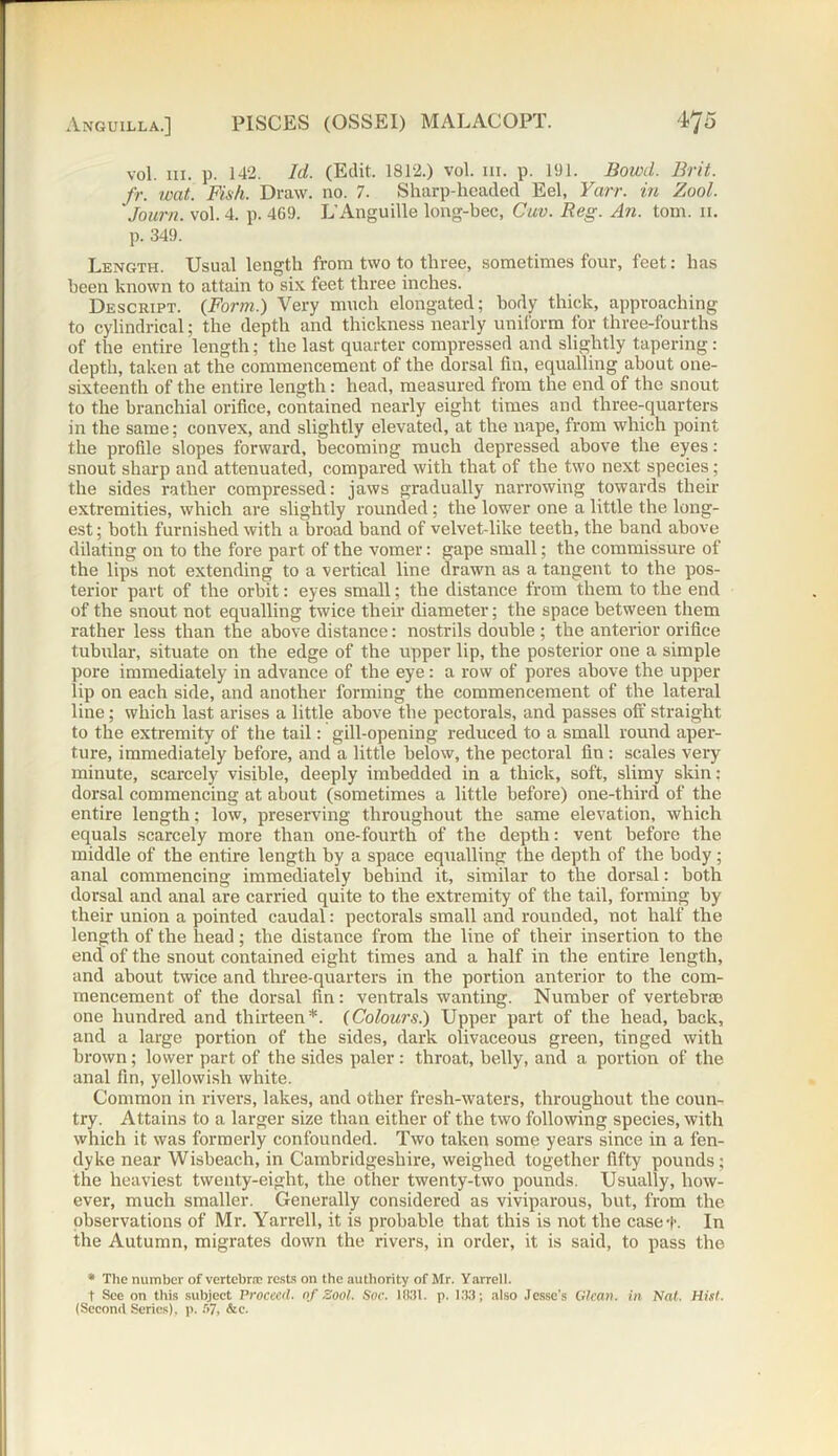 vol. hi. p. 142. Id. (Edit. 1812.) vol. in. p. 191. Bowd. Brit, fr. wat. Fish. Draw. no. 7. Sharp-licaded Eel, Yarr. in Zool. Journ. vol. 4. p. 469. L’Anguille long-bec, Cuv. Reg. An. tom. n. p. 349. Length. Usual length from two to three, sometimes four, feet: has been known to attain to six feet three inches. Descript. {Form.) Very much elongated; body thick, approaching to cylindrical; the depth and thickness nearly uniform for three-fourths of the entire length; the last quarter compressed and slightly tapering: depth, taken at the commencement of the dorsal fin, equalling about one- sixteenth of the entire length: head, measured from the end of the snout to the branchial orifice, contained nearly eight times and three-quarters in the same; convex, and slightly elevated, at the nape, from which point the profile slopes forward, becoming much depressed above the eyes: snout sharp and attenuated, compared with that of the two next species; the sides rather compressed: jaws gradually narrowing towards their extremities, which are slightly rounded; the lower one a little the long- est; both furnished with a broad band of velvet-like teeth, the band above dilating on to the fore part of the vomer: gape small; the commissure of the lips not extending to a vertical line drawn as a tangent to the pos- terior part of the orbit: eyes small; tbe distance from them to the end of the snout not equalling twice their diameter; the space between them rather less than the above distance: nostrils double ; the anterior orifice tubular, situate on the edge of the upper lip, the posterior one a simple pore immediately in advance of the eye: a row of pores above the upper lip on each side, and another forming the commencement of the lateral line; which last arises a little above tbe pectorals, and passes off straight to the extremity of the tail: gill-opening reduced to a small round aper- ture, immediately before, and a little below, the pectoral fin : scales very minute, scarcely visible, deeply imbedded in a thick, soft, slimy skin: dorsal commencing at about (sometimes a little before) one-third of the entire length; low, preserving throughout the same elevation, which equals scarcely more than one-fourth of the depth: vent before the middle of the entire length by a space equalling the depth of the body; anal commencing immediately behind it, similar to the dorsal: both dorsal and anal are carried quite to the extremity of the tail, forming by their union a pointed caudal: pectorals small and rounded, not half the length of the head; the distance from the line of their insertion to the end of the snout contained eight times and a half in the entire length, and about twice and three-quarters in the portion anterior to the com- mencement of the dorsal fin: ventrals wanting. Number of vertebra} one hundred and thirteen*. {Colours.) Upper part of the head, back, and a large portion of the sides, dark olivaceous green, tinged with brown; lower part of the sides paler: throat, belly, and a portion of the anal fin, yellowish white. Common in rivers, lakes, and other fresh-waters, throughout the coun- try. Attains to a larger size than either of the two following species, with which it was formerly confounded. Two taken some years since in a fen- dyke near Wisbeach, in Cambridgeshire, weighed together fifty pounds; the heaviest twenty-eight, the other twenty-two pounds. Usually, how- ever, much smaller. Generally considered as viviparous, but, from the observations of Mr. Yarrell, it is probable that this is not the caset. In the Autumn, migrates down the rivers, in order, it is said, to pass the * The number of vertebra rests on the authority of Mr. Yarrell. t See on this subject Proceed, of Zool. Soc. 1831. p. 133; also Jesse’s Glean, in Nat. Hist. (Second Series), p. 57, &c.