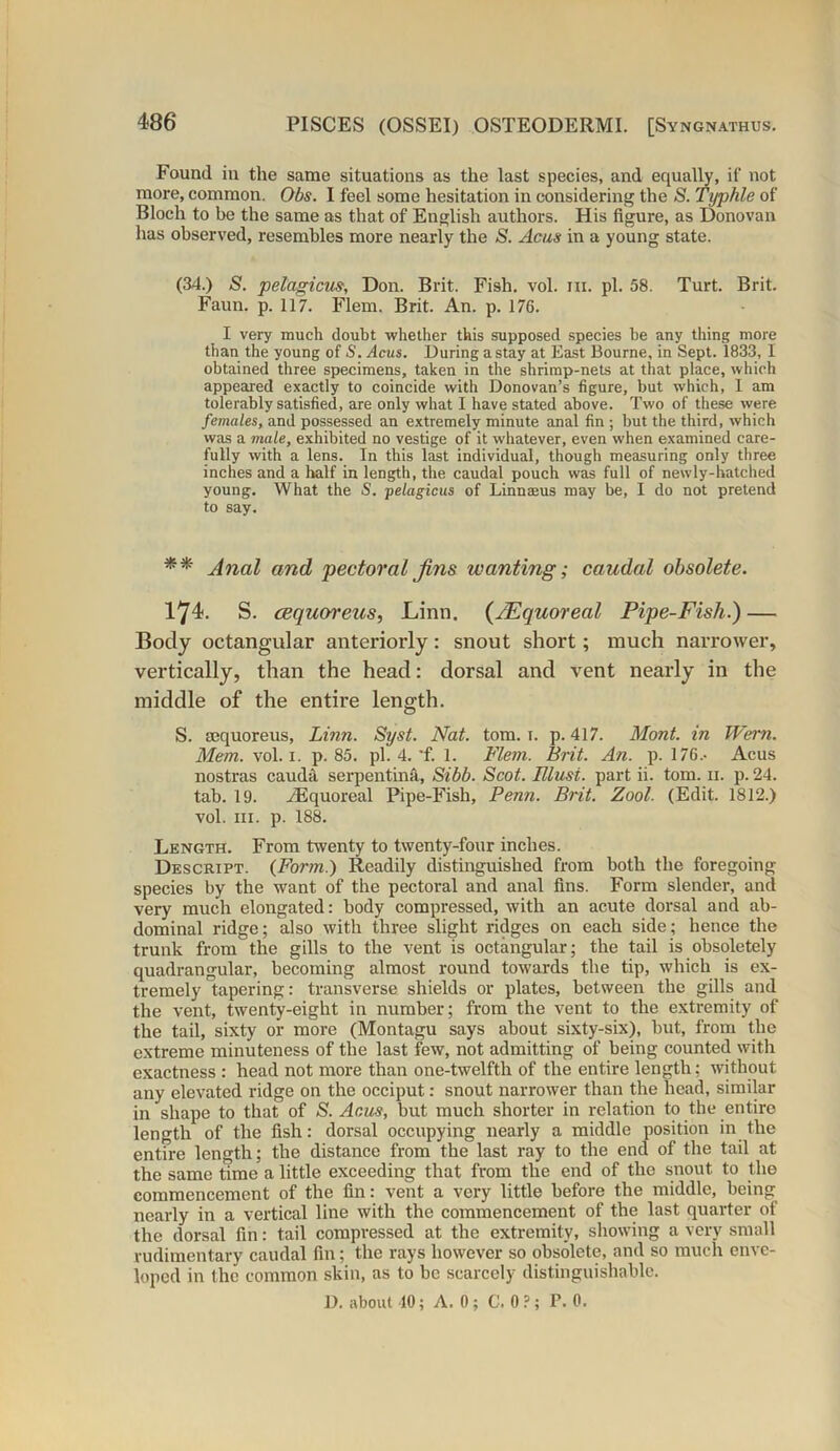 Found in the same situations as the last species, and equally, if not more, common. Obs. I feel some hesitation in considering the S. Typhle of Bloch to be the same as that of English authors. His figure, as Donovan has observed, resembles more nearly the S. Acus in a young state. (34.) S. pelagicus, Don. Brit. Fish. vol. iii. pi. 58. Turt. Brit. Faun. p. 117. Flem. Brit. An. p. 176. I very much doubt whether this supposed species be any thing more than the young of S. Acus. During a stay at East Bourne, in Sept. 1833, I obtained three specimens, taken in the shrimp-nets at that place, which appeared exactly to coincide with Donovan’s figure, but which, I am tolerably satisfied, are only what I have stated above. Two of these were females, and possessed an extremely minute anal fin ; but the third, which was a male, exhibited no vestige of it whatever, even when examined care- fully with a lens. In this last individual, though measuring only three inches and a half in length, the caudal pouch was full of newly-hatched young. What the S. pelagicus of Linnaeus may be, I do not pretend to say. ** Anal and pectoral Jins wanting; caudal obsolete. 174. S. cequoreus, Linn. {/Equoreal Pipe-Fish.) — Body octangular anteriorly: snout short; much narrower, vertically, than the head: dorsal and vent nearly in the middle of the entire length. S. sequoreus, Linn. Syst. Nat. tom. 1. p. 417. Mont, in Wern. Mem. vol. 1. p. 85. pi. 4. 'f. 1. Flem. Brit. An. p. 176.- Acus nostras cauda serpentina, Sibb. Scot. Elusi. part ii. tom. 11. p. 24. tab. 19. yEquoreal Pipe-Fish, Penn. Brit. Zool. (Edit. 1812.) vol. hi. p. 188. Length. From twenty to twenty-four inches. Descript. (Form.) Readily distinguished from both the foregoing species by the want of the pectoral and anal fins. Form slender, and very much elongated: body compressed, with an acute dorsal and ab- dominal ridge; also with three slight ridges on each side; hence the trunk from the gills to the vent is octangular; the tail is obsoletely quadrangular, becoming almost round towards the tip, which is ex- tremely tapering: transverse shields or plates, between the gills and the vent, twenty-eight in number; from the vent to the extremity of the tail, sixty or more (Montagu says about sixty-six), but, from the extreme minuteness of the last few, not admitting of being counted with exactness : head not more than one-twelfth of the entire length; without any elevated ridge on the occiput: snout narrower than the head, similar in shape to that of S. Acus, but much shorter in relation to the entire length of the fish: dorsal occupying nearly a middle position in the entire length; the distance from the last ray to the end of the tail at the same time a little exceeding that from the end of the snout to the commencement of the fin: vent a very little before the middle, being nearly in a vertical line with the commencement of the last quarter of the dorsal fin: tail compressed at the extremity, showing a very small rudimentary caudal fin; the rays however so obsolete, and so much enve- loped in the common skin, as to be scarcely distinguishable. D. about 10; A. 0; C. 0?; T. 0.