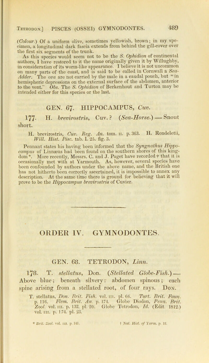 Tetrodon.] PISCES (OSSEI) GYMNODONTES. {Colour.) Of a uniform olive, sometimes yellowish, brown; in my spe- cimen, a longitudinal dark fascia extends from behind the gill-cover over the first six segments of the trunk. As this species would seem not to be the S. Ophidion of continental authors, I have restored to it the name originally given it by Willughby, in consideration of its worm-like appearance. I believe it is not uncommon on many parts of the coast, and is said to be called in Cornwall a Sea- Adder. The ova are not carried by the male in a caudal pouch, but “ in hemispheric depressions on the external surface of the abdomen, anterior to the vent.” Obs. The S. Ophidion of Berkenhout and Turton may be intended either for this species or the last. GEN. 67. HIPPOCAMPUS, Cuv. 177. H. brevirostris, Cuv. P (Sea-Horse.) — Snout short. H. brevirostris, Cuv. Reg. An. tom. 11. p. 363. H. Rondeletii, Will. Hist. Pise. tab. I. 25. fig. 3. Pennant states his having been informed that the Syngnathus Hippo- campus of Linnaeus had been found on the southern shores of this king- dom *. More recently, Messrs. C. and J. Paget have recorded t that it is occasionally met with at Yarmouth. As, however, several species have been confounded by authors under the above name, and the British one has not hitherto been correctly ascertained, it is impossible to annex any description. At the same time there is ground for believing that it will prove to be the Hippocampus brevirostris of Cuvier. ORDER IV. GYMNODONTES. GEN. 68. TETRODON, Linn. 178. T. stellatus, Don. (Stellated Globe-Fish.) — Above blue; beneath silvery: abdomen spinous; each spine arising from a stellated root, of four rays. Don. T. stellatus, Don. Brit. Fish. vol. 111. pi. 66. Turt. Brit. Fame p. 116. Flem. Brit. An. p. 174. Globe Diodon, Penn. Brit. Zool. vol. hi. p. 132. pi. 20. Globe Tetrodon, Id. (Edit. 1812.) vol. hi. p. 174. pi. 23. * Bril. Zool. vol. ui. p. 141. 1 Nat. Hist, of Yarm. p. 18.