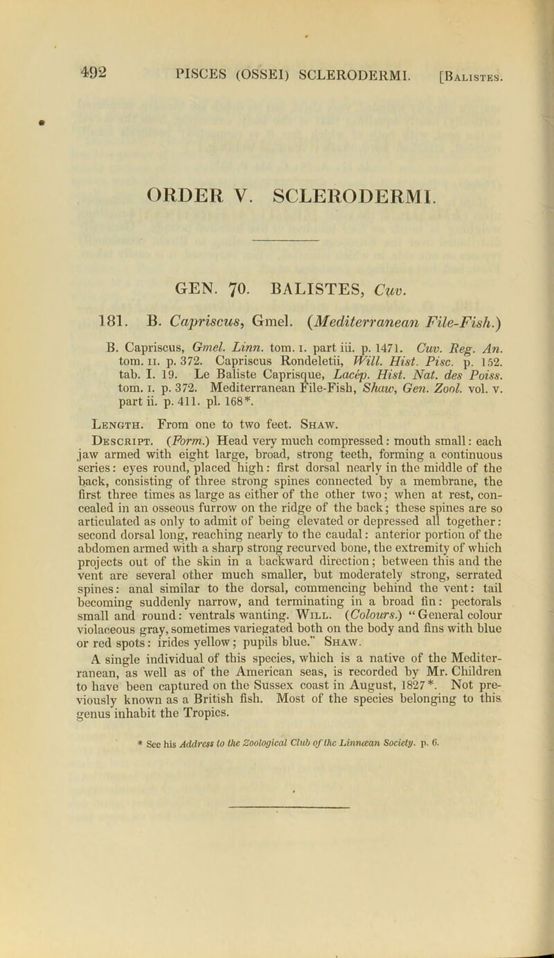 [Balistes. ORDER V. SCLERODERMI. GEN. 70. BALISTES, Cuv. 181. B. Capriscus, Gmel. (Mediterranean File-Fish.) B. Capriscus, Gmel. Linn. tom. 1. part iii. p. 1471. Cuv. Reg. An. tom. 11. p.372. Capriscus Rondeletii, Will. Hist. Pise. p. 152. tab. I. 19. Le Baliste Caprisque, Lacep. Hist. Nat. des Poiss. tom. 1. p. 372. Mediterranean File-Fish, Shaw, Gen. Zonl. vol. v. part ii. p. 411. pi. 168*. Length. From one to two feet. Shaw. Descript. (Form.) Head very much compressed: mouth small: each jaw armed with eight large, broad, strong teeth, forming a continuous series: eyes round, placed high: first dorsal nearly in the middle of the back, consisting of three strong spines connected by a membrane, the first three times as large as either of the other two; when at rest, con- cealed in an osseous furrow on the ridge of the back; these spines are so articulated as only to admit of being elevated or depressed all together : second dorsal long, reaching nearly to the caudal: anterior portion of the abdomen armed with a sharp strong recurved bone, the extremity of which projects out of the skin in a backward direction; between this and the vent are several other much smaller, but moderately strong, serrated spines: anal similar to the dorsal, commencing behind the vent: tail becoming suddenly narrow, and terminating in a broad fin: pectorals small and round: ventrals wanting. Will. {Colours.) “General colour violaceous gray, sometimes variegated both on the body and fins with blue or red spots: irides yellow; pupils blue.” Shaw. A single individual of this species, which is a native of the Mediter- ranean, as well as of the American seas, is recorded by Mr. Children to have been captured on the Sussex coast in August, 1827*. Not pre- viously known as a British fish. Most of the species belonging to this genus inhabit the Tropics. * Sec his Address to the Zoological Club of the Linnaan Society, p. 6.