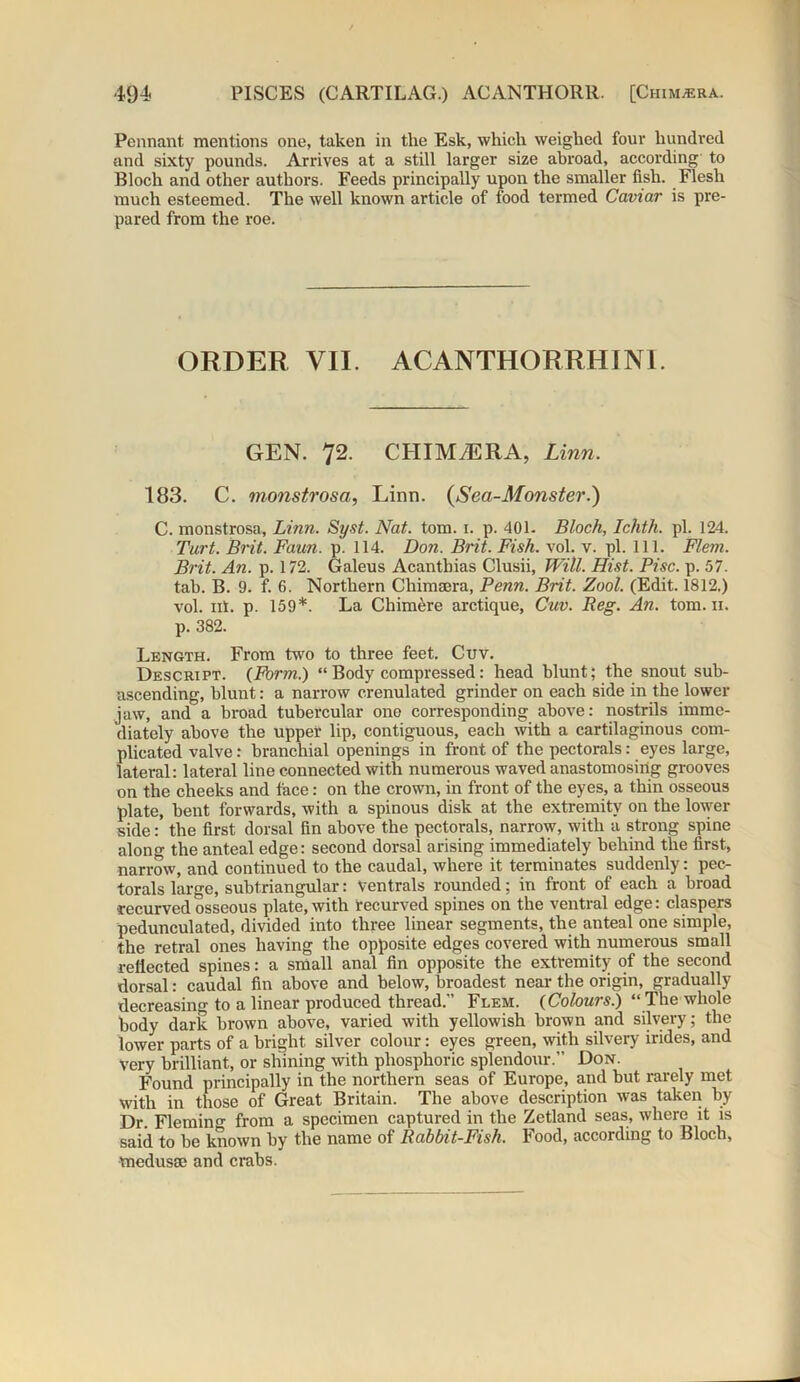 Pennant mentions one, taken in the Esk, which weighed four hundred and sixty pounds. Arrives at a still larger size abroad, according to Bloch and other authors. Feeds principally upon the smaller fish. 1’ lesh much esteemed. The well known article of food termed Caviar is pre- pared from the roe. ORDER VII. ACANTHORRHINl. GEN. 72. CHIM7ERA, Linn. 183. C. monstrosa, Linn. (Sea-Monster.) C. monstrosa, Linn. Syst. Nat. tom. 1. p. 401. Bloch, Ichth. pi. 124. Turt. Brit. Faun. p. 114. Don. Brit. Fish. vol. v. pi. 111. Flem. Brit. An. p. 172. Galeus Acantbias Clusii, Will. Hist. Pise. p. 57. tab. B. 9. f. 6. Northern Chimsera, Penn. Brit. Zool. (Edit. 1812.) vol. nt. p. 159*. La Chimere arctique, Cuv. Reg. An. tom. 11. p. 382. Length. From two to three feet. Cuv. Descritt. {Form.) “ Body compressed: head blunt; the snout sub- ascending, blunt: a narrow crenulated grinder on each side in the lower jaw, and a broad tubercular one corresponding above: nostrils imme- diately above the upper lip, contiguous, each with a cartilaginous com- plicated valve: branchial openings in front of the pectorals: eyes large, lateral: lateral line connected with numerous waved anastomosing grooves on the cheeks and face: on the crown, in front of the eyes, a thin osseous plate, bent forwards, with a spinous disk at the extremity on the lower side: the first dorsal fin above the pectorals, narrow, with a strong spine along the anteal edge: second dorsal arising immediately behind the first, narrow, and continued to the caudal, where it terminates suddenly: pec- torals large, subtriangular: Ventrals rounded; in front of each a broad recurved osseous plate, with recurved spines on the ventral edge: claspers pedunculated, divided into three linear segments, the anteal one simple, the retral ones having the opposite edges covered with numerous small reflected spines: a small anal fin opposite the extremity of the second dorsal: caudal fin above and below, broadest near the origin, gradually decreasing to a linear produced thread.” Flem. {Colours.) “ The whole body dark brown above, varied with yellowish brown and silvery; the lower parts of a bright silver colour: eyes green, with silvery irides, and very brilliant, or shining with phosphoric splendour.” Don. Found principally in the northern seas of Europe, and but rarely met with in those of Great Britain. The above description was taken by Dr. Flemin from a specimen captured in the Zetland seas, where it is said to he known by the name of Rabbit-Fish. Food, according to Bloch, medusae and crabs.