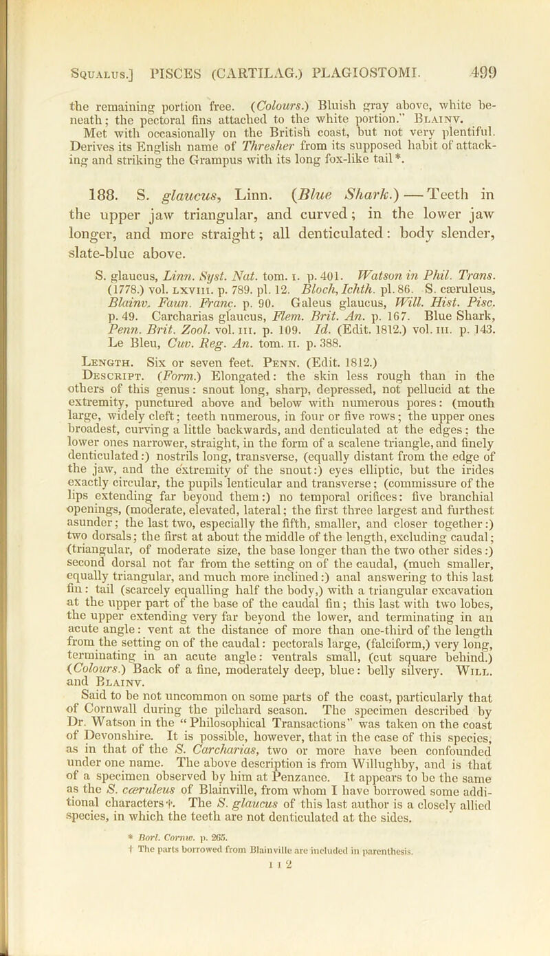 the remaining portion free. {Colours.) Bluish gray above, white be- neath; the pectoral fins attached to the white portion.” Blainv. Met with occasionally on the British coast, but not very plentiful. Derives its English name of Thresher from its supposed habit of attack- ing and striking the Grampus with its long fox-like tail *. 188. S. glaucus, Linn. (Blue Shark.)—Teeth in the upper jaw triangular, and curved; in the lower jaw longer, and more straight; all denticulated: body slender, slate-blue above. S. glaucus, Linn. Syst. Nat. tom. i. p. 401. Watson in Phil. Trans. (1778.) vol. lxviii. p. 789. pi. 12. Bloch, Ichth. pi. 86. S. caeruleus, Blainv. Faun. Franc, p. 90. Galeus glaucus. Will. Hist. Pise. p. 49. Carcharias glaucus, Flem. Brit. An. p. 167. Blue Shark, Penn. Brit. Zool. vol. in. p. 109. Id. (Edit. 1812.) vol.m. p. 143. Le Bleu, Cuv. Reg. An. tom. ii. p. 388. Length. Six or seven feet. Penn. (Edit. 1812.) Descript. (Form.) Elongated: the skin less rough than in the others of this genus: snout long, sharp, depressed, not pellucid at the extremity, punctured above and below with numerous pores: (mouth large, widely cleft; teeth numerous, in four or five rows; the upper ones broadest, curving a little backwards, and denticulated at the edges; the lower ones narrower, straight, in the form of a scalene triangle, and finely denticulated:) nostrils long, transverse, (equally distant from the edge of the jaw, and the extremity of the snout:) eyes elliptic, but the irides exactly circular, the pupils lenticular and transverse; (commissure of the lips extending far beyond them:) no temporal orifices: five branchial openings, (moderate, elevated, lateral; the first three largest and furthest asunder; the last two, especially the fifth, smaller, and closer together:) two dorsals; the first at about the middle of the length, excluding caudal; (triangular, of moderate size, the base longer than the two other sides:) second dorsal not far from the setting on of the caudal, (much smaller, equally triangular, and much more inclined:) anal answering to this last fin : tail (scarcely equalling half the body,) with a triangular excavation at the upper part of the base of the caudal fin; this last with two lobes, the upper extending very far beyond the lower, and terminating in an acute angle: vent at the distance of more than one-third of the length from the setting on of the caudal: pectorals large, (falciform,) very long, terminating in an acute angle: ventrals small, (cut square behind.) (Colours.) Back of a fine, moderately deep, blue: belly silvery. Will. and Blainv. Said to be not uncommon on some parts of the coast, particularly that of Cornwall during the pilchard season. The specimen described by Dr. Watson in the “ Philosophical Transactions was taken on the coast of Devonshire. It is possible, however, that in the case of this species, as in that of the S. Carcharias, two or more have been confounded under one name. The above description is from Willughby, and is that of a specimen observed by him at Penzance. It appears to be the same as the S. cceruleus of Blainville, from whom I have borrowed some addi- tional characters +• The S. glaucus of this last author is a closely allied species, in which the teeth are not denticulated at the sides. * Borl. Cornw. p. 265. t The parts borrowed from Blainville are included in parenthesis. I I 2