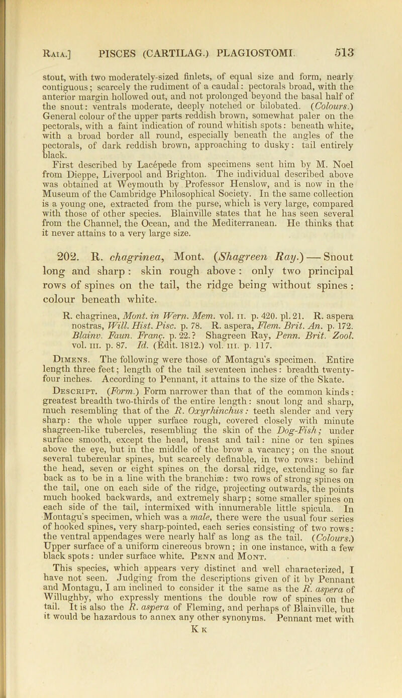 stout, with two moderately-sized finlets, of equal size and form, nearly contiguous; scarcely the rudiment of a caudal: pectorals broad, with the anterior margin hollowed out, and not prolonged beyond the basal half of the snout: ventrals moderate, deeply notched or bilobated. {Colours.) General colour of the upper parts reddish brown, somewhat paler on the pectorals, with a faint indication of round whitish spots: beneath white, with a broad border all round, especially beneath the angles of the pectorals, of dark reddish brown, approaching to dusky: tail entirely black. First described by Lacipede from specimens sent him by M. Noel from Dieppe, Liverpool and Brighton. The individual described above was obtained at Weymouth by Professor Henslow, and is now in the Museum of the Cambridge Philosophical Society. In the same collection is a young one, extracted from the purse, which is very large, compared with those of other species. Blainville states that he has seen several from the Channel, the Ocean, and the Mediterranean. He thinks that it never attains to a very large size. 202. R. chagrined, Mont. (Shagreen Ray.) — Snout long and sharp : skin rough above: only two principal rows of spines on the tail, the ridge being without spines : colour beneath white. R. chagrinea, Mont, in Wern. Mem. vol. u. p. 420. pi. 21. R. aspera nostras, Will. Hist. Pise. p. 78. R. aspera, Flem. Brit. An. p. 172. Blainv. Faun. Franc, p. 22.? Shagreen Ray, Penn. Brit. Zool. vol. iii. p. 87. Id. (Edit. 1812.) vol. in. p. 117. Dimens. The following were those of Montagu’s specimen. Entire length three feet; length of the tail seventeen inches: breadth twenty- four inches. According to Pennant, it attains to the size of the Skate. Descript. {Form.) Form narrower than that of the common kinds: greatest breadth two-thirds of the entire length: snout long and sharp, much resembling that of the R. Oxyrhinchus: teeth slender and very sharp: the whole upper surface rough, covered closely with minute shagreen-like tubercles, resembling the skin of the Dog-Fish; under surface smooth, except the head, breast and tail: nine or ten spines above the eye, but in the middle of the brow a vacancy; on the snout several tubercular spines, but scarcely definable, in two rows: behind the head, seven or eight spines on the dorsal ridge, extending so far back as to be in a line with the branchiae: two rows of strong spines on the tail, one on each side of the ridge, projecting outwards, the points much hooked backwards, and extremely sharp; some smaller spines on each side of the tail, intermixed with innumerable little spicula. In Montagu's specimen, which was a male, there were the usual four series of hooked spines, very sharp-pointed, each series consisting of two rows : the ventral appendages were nearly half as long as the tail. {Colours.) Upper surface of a uniform cinereous hrown; in one instance, with a few black spots: under surface white. Penn and Mont. This species, which appears very distinct and well characterized, I have not seen. Judging from the descriptions given of it by Pennant and Montagu, I am inclined to consider it the same as the R. aspera of Willughby, who expressly mentions the double row of spines on the tail. It is also the R. aspera of Fleming, and perhaps of Blainville, but it would be hazardous to annex any other synonyms. Pennant met with ICk