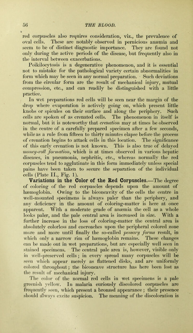 red corpuscles also requires consideration, viz., the prevalence of oval cells. These are notably observed in pernicious anaemia and seem to be of distinct diagnostic importance. They are found not only during the active periods of the disease, but frequently also in the interval between exacerbations. Poikilocytosis is a degenerative phenomenon, and it is essential not to mistake for the pathological variety certain abnormalities in form which may be seen in any normal preparation. Such deviations from the circular form are the result of mechanical injury, mutual compression, etc., and can readily be distinguished with a little practice. In wet preparations red cells will be seen near the margin of the drop where evaporation is actively going on, which present little knobs or spicules on their surface and along the periphery. Such cells are spoken of as crenated cells. The phenomenon in itself is normal, but it is noteworthy that crenation may at times be observed in the centre of a carefully prepared specimen after a few seconds, while as a rule from fifteen to thirty minutes elapse before the process of crenation begins to attack cells in this location. The significance of this early crenation is not known. This is also true of delayed money-roll formation, which is at times observed in various hepatic diseases, in pneumonia, nephritis, etc., whereas normally the red corpuscles tend to agglutinate in this form immediately unless special pains have been taken to secure the separation of the individual cells (Plate II., Fig. 1). Variations in the Color of the Red Corpuscles.—The degree of coloring of the red corpuscles depends upon the amount of haemoglobin. Owing to the biconcavity of the cells the centre in well-mounted specimens is always paler than the periphery, and any deficiency in the amount of coloring-matter is here at once apparent. With a moderate grade of anaemia the cell as a whole looks paler, and the pale central area is increased in size. With a further increase in the loss of coloring-matter the central area is absolutely colorless and encroaches upon the peripheral colored zone more and more until finally the so-called pessary forms result, in which onlv a narrow rim of haemoglobin remains. These changes can be made out in wet preparations, but arc especially well seen in stained specimens. The central pale area is, however, visible only in well-preserved cells; in every spread many corpuscles will be seen which appear merely as flattened disks, and are uniformly colored throughout: the biconcave structure has here been lost as the result of mechanical injury. The color of the normal red cells in wet specimens is a pale greenish yellow. In malaria curiously discolored corpuscles are frequently seen, which present a bronzed appearance; their presence should always excite suspicion. The meaning of the discoloration is