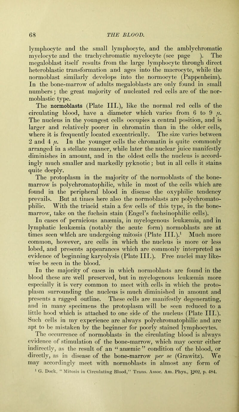 lymphocyte and the small lymphocyte, and the amblychromatic myelocyte and the trachychromatic myelocyte (see page ). The megaloblast itself results from the large lymphocyte through direct heteroblastic transformation and ages into the macrocyte, while the normoblast similarly develops into the normocyte (Pappenheim). In the bone-marrow of adults megaloblasts are only found in small numbers; the great majority of nucleated red cells are of the nor- moblastic type. The normoblasts (Plate III.), like the normal red cells of the circulating blood, have a diameter which varies from 6 to 9 //. The nucleus in the youngest cells occupies a central position, and is larger and relatively poorer in chromatin than in the older cells, where it is frequently located excentrically. The size varies between 2 and 4 p. In the younger cells the chromatin is quite commonly arranged in a stellate manner, while later the nuclear juice manifestly diminishes in amount, and in the oldest cells the nucleus is accord- ingly much smaller and markedly pyknotic; but in all cells it stains quite deeply. The protoplasm in the majority of the normoblasts of the bone- marrow is polychromatophilic, while in most of the cells which are found in the peripheral blood in disease the oxyphilic tendency prevails. But at times here also the normoblasts are polychromato- philic. With the triacid stain a few cells of this type, in the bone- marrow, take on the fuchsin stain (Engel’s fuchsinophilic cells). In cases of pernicious anaemia, in myelogenous leukaemia, and in lymphatic leukaemia (notably the acute form) normoblasts are at times seen which are undergoing mitosis (Plate III.).1 Much more common, however, are cells in which the nucleus is more or less lobed, and presents appearances which are commonly interpreted as evidence of beginning karyolysis (Plate III.). Free nuclei may like- wise be seen in the blood. In the majority of cases in which normoblasts are found in the blood these are well preserved, but in myelogenous leukaemia more especially it is very common to meet with cells in which the proto- plasm surrounding the nucleus is much diminished in amount and presents a ragged outline. These cells are manifestly degenerating, and in many specimens the protoplasm will be seen reduced to a little hood which is attached to one side of the nucleus (Plate III.). Such cells in my experience are always polychromatophilic and are apt to be mistaken by the beginner for poorly stained lymphocytes. The occurrence of normoblasts in the circulating blood is always evidence of stimulation of the bone-marrow, which may occur either indirectly, as the result of an “anaemic” condition of the blood, or directly, as in disease of the bone-marrow per se (Grawitz). We may accordingly meet with normoblasts in almost any form of 1 G. Dock, “ Mitosis in Circulating Blood,” Trans. Assoc. Am. Phys., p. 484.