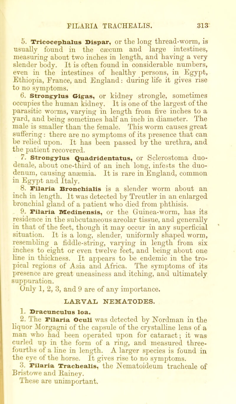 5. Tricocepbalus Dispar, or the long thread-worm, is usually found in the cascum and large intestines, measuring about two inches in length, and having a very- slender body. It is often found in considerable numbers, even in the intestines of healthy persons, in Egypt, Ethiopia, France, and England: during life it gives rise to no symptoms. 6. Strongrylus Gigras, or kidney strongle, sometimes occupies the human kidney. It is one of the largest of the parasitic worms, varying in length from five inches to a yard, and being sometimes half an inch in diameter. The male is smaller than the female. This worm causes great suffering: there are no symptoms of its presence that can be relied upon. It has been passed by the urethra, and the patient recovered. 7. Strong-ylus Quadridentatus, or Sclerostoma duo- denale, about one-third of an inch long, infests the duo- denum, causing anasmia. It is rare in England, common in Egypt and Italy. 8. Filaria Bronchialis is a slender worm about an inch in length. It was detected by Treutler in an enlarged bronchial gland of a patient who died from phthisis. 9. Filaria Medinensis, or the Guinea-worm, has its residence in the subcutaneous areolar tissue, and generally in that of the feet, though it may occur iu any superficial situation. It is a long, slender, uniformly shaped worm, resembling a fiddle-string, varying in length from six inches to eight or even twelve feet, and being about one line in thickness. It appears to be endemic in the tro- pical regions of Asia and Africa. The symptoms of its presence are great uneasiness and itching, and ultimately suppuration. Only 1, 2, 3, and 9 are of any importance. LARVAL NEMATODES. 1. Dracunculus loa. 2. The Filaria Oculi was detected by Nbrdman in the liquor Morgagni of the capsule of the crystalline lens of a man who had been operated upon for cataract; it was curled up in the form of a ring, and measured three- fourths of a line in length. A larger species is found in the eye of the horse. It gives rise to no symptoms. 3. Filaria Trachealis, the Nematoideum tracheale of Bristowe and Rainey. These are unimportant.
