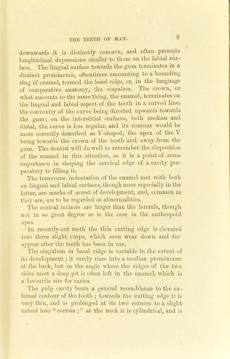 downwards it is distinctly concave, and often presents longitudinal depressions similar to those on the labial sur- face. The lingual surface towards the gum terminates in a distinct prominence, oftentimes amounting to a bounding ring of enamel, termed the basal ridge, or, in the language of comparative anatomy, the cingulum. The crown, or what amounts to the same thing, the enamel, terminates on the lingual and labial aspect of the tooth in a curved line? the convexity of the curve being directed upwards towards the gum; on the interstitial surfaces, both median and distal, the curve is less regular, and its contour would be more correctly described as V-shaped, the apex of the V being towards the crown of the tooth and away from the gum. The dentist will do well to remember the disposition of the enamel in this situation, as it is a point of.some importance in shaping the cervical edge of a cavity pre- paratory to filling it. The transverse indentation of the enamel met with both on lingual and labial surfaces, though more especially in the latter, are marks of arrest of development, and, common as they are, are to be regarded as abnormalities. The central incisors are larger than the laterals, though not in so great degree as is the case in the anthropoid apes. In recently-cut teeth the thin cutting edge is elevated into three slight cusps, which soon wear down and dis- appear after the tooth has been in use. The cingulum or basal ridge is variable in the extent of its development; it rarely rises into a median prominence at the back, but in the angle where the ridges of the two sides meet a deep pit is often left in the enamel, which is a favourite site for caries. The pulp cavity bears a general resemblance to the ex- ternal contour of the tooth ; towards the cutting edge it is very thin, and is prolonged at its two corners to a slight extent into “ cornua ; ” at the neck it is cylindrical, and is