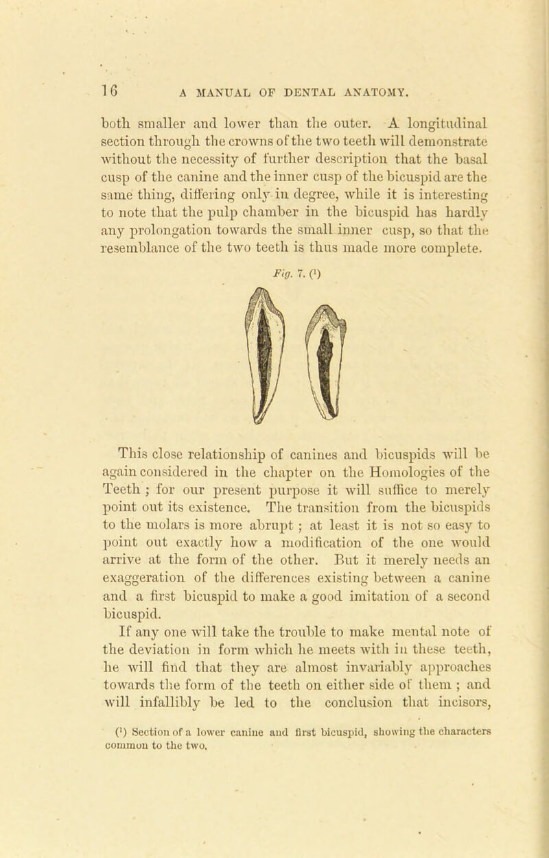 both smaller and lower than the outer. A longitudinal section through the crowns of the two teeth will demonstrate without the necessity of further description that the basal cusp of the canine and the inner cusp of the bicuspid are the same thing, differing only in degree, while it is interesting to note that the pulp chamber in the bicuspid has hardly any prolongation towards the small inner cusp, so that the resemblance of the two teeth is thus made more complete. Fig. 7. (i) This close relationship of canines and bicuspids will be again considered in the chapter on the Homologies of the Teeth ; for our present purpose it will suffice to merely point out its existence. The transition from the bicuspids to the molars is more abrupt ; at least it is not so easy to point out exactly how a modification of the one would arrive at the form of the other. But it merely needs an exaggeration of the differences existing between a canine and a first bicuspid to make a good imitation of a second bicuspid. If any one will take the trouble to make mental note of the deviation in form which he meets with in these teeth, he will find that they are almost invariably approaches towards the form of the teeth on either side of them ; and will infallibly be led to the conclusion that incisors, (') Section of a lower canine and first bicuspid, showing the characters common to the two.