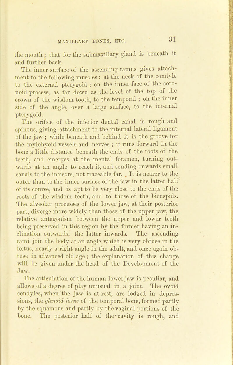 the mouth ; that for the submaxillary gland is beneath it and further back. The inner surface of the ascending ramus gives attach- ment to the following muscles : at the neck of the condyle to the external pterygoid ; on the inner face of the coro- noid process, as far down as the level of the top of the crown of the wisdom tooth, to the temporal ; on the inner side of the angle, over a large surface, to the internal pterygoid. The orifice of the inferior dental canal is rough and spinous, giving attachment to the internal lateral ligament of the jaw ; while beneath and behind it is the groove lor the mylohyoid vessels and nerves ; it runs forward in the bone a little distance beneath the ends of the roots of the teeth, and emerges at the mental foramen, turning out- wards at an angle to reach it, and sending onwards small canals to the incisors, not traceable far. . It is nearer to the outer than to the inner surface of the jaw in the latter hall of its course, and is apt to be very close to the ends of the roots of the wisdom teeth, and to those of the bicuspids. The alveolar processes of the lower jaw, at their posterior part, diverge more widely than those of the upper jaw, the relative antagonism between the upper and lower teeth being preserved in this region by the former having an in- clination outwards, the latter inwards. The ascending rami join the body at an angle which is very obtuse in the foetus, nearly a right angle in the adult, and once again ob- tuse in advanced old age ; the explanation of this change will be given under the head of the Development of the Jaw. The articulation of the human lower jaw is peculiar, and allows of a degree of play unusual in a joint. The ovoid condyles, when the jaw is at rest, are lodged in depres- sions, the glenoid fossce of the temporal bone, formed partly by the squamous and partly by the vaginal portions of the bone. The posterior half of the'cavity is rough, and