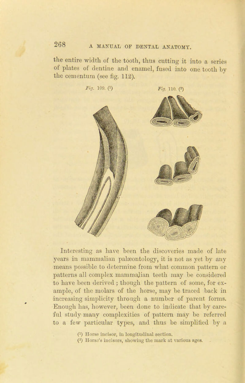 the entire width of the tooth, thus cutting it into a series of plates of dentine and enamel, fused into one tooth by the cementum (see fig. 112). FUj. 109. (i) Fir/. 110. (2) Interesting as have been the discoveries made of late years in mammalian palaeontology, it is not as yet by any means possible to determine from what common pattern or patterns all complex mammalian teeth may be considered to have been derived ; though the pattern of some, for ex- ample, of the molars of the horse, may be traced back in increasing simplicity through a number of parent forms. Enough has, however, been done to indicate that by care- ful study many complexities of pattern may be referred to a few particular types, and thus be simplified by a 0) Horse incisor, in longitudinal section. (2) Horse’s incisors, showing the mark at various ages.