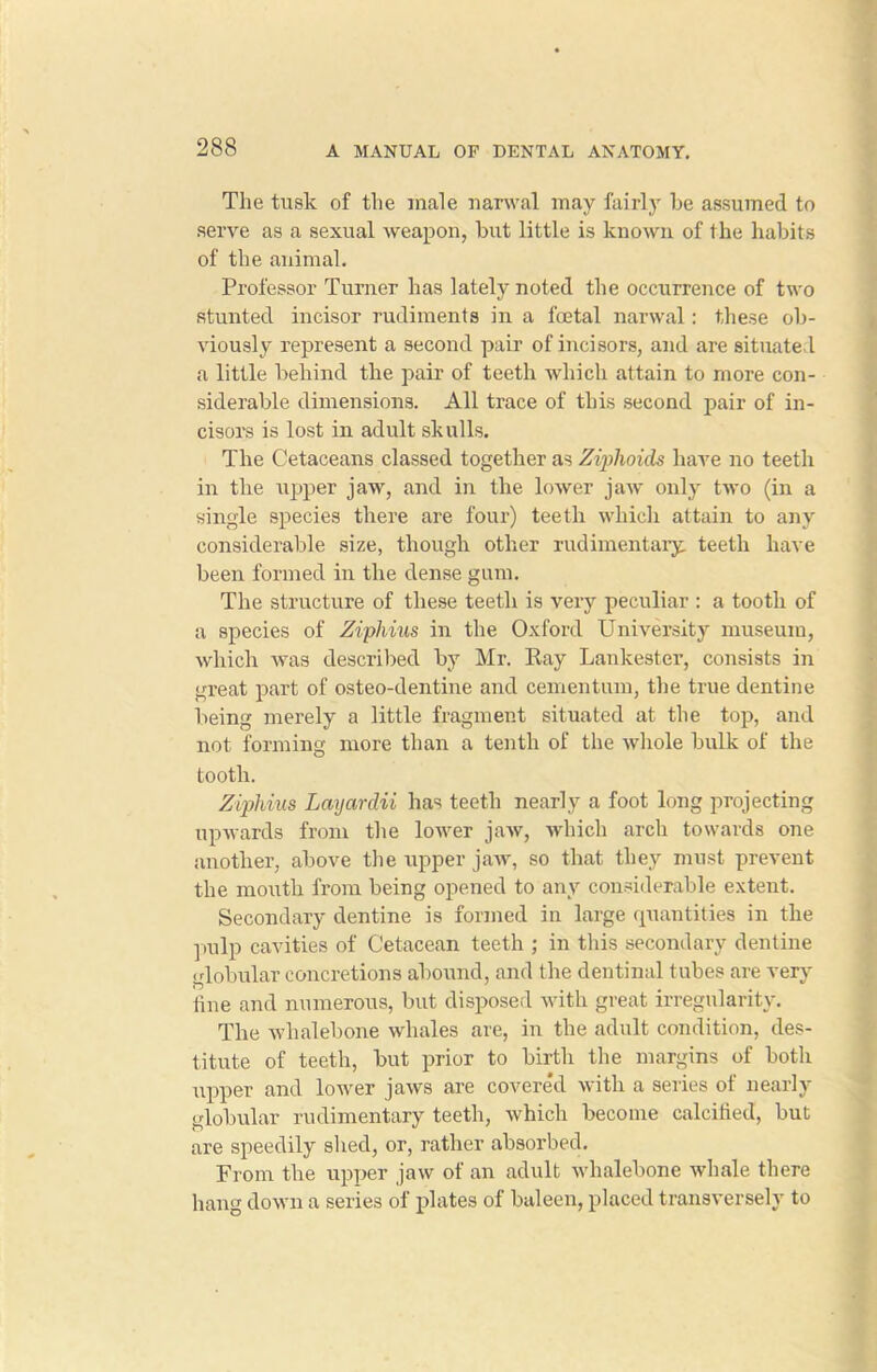 The tusk of the male narwal may fairly be assumed to serve as a sexual weapon, but little is known of the habits of the animal. Professor Turner has lately noted the occurrence of two stunted incisor rudiments in a foetal narwal: these ob- viously represent a second pair of incisors, and are situate 1 a little behind the pair of teeth which attain to more con- siderable dimensions. All trace of this second pair of in- cisors is lost in adult skulls. The Cetaceans classed together as Zi/phoids have no teeth in the upper jaw, and in the lower jaw only two (in a single species there are four) teeth which attain to any considerable size, though other rudimentary, teeth have been formed in the dense gum. The structure of these teeth is very peculiar : a tooth of a species of Ziphius in the Oxford University museum, which was described by Mr. Ray Lankester, consists in great part of osteo-dentine and cementum, the true dentine being merely a little fragment situated at the top, and not forming more than a tenth of the whole bulk of the tooth. Ziphius Layardii has teeth nearly a foot long projecting upwards from the lower jaw, which arch towards one another, above the upper jaw, so that they must prevent the mouth from being opened to any considerable extent. Secondary dentine is formed in large quantities in the pulp cavities of Cetacean teeth ; in this secondary dentine globular concretions abound, and the dentinal tubes are very tine and numerous, but disposed with great irregularity. The whalebone whales are, in the adult condition, des- titute of teeth, but prior to birth the margins of both upper and lower jaws are covered with a series of nearly globular rudimentary teeth, which become calcified, but are speedily shed, or, rather absorbed. From the upper jaw of an adult whalebone whale there hang down a series of plates of baleen, placed transversely to