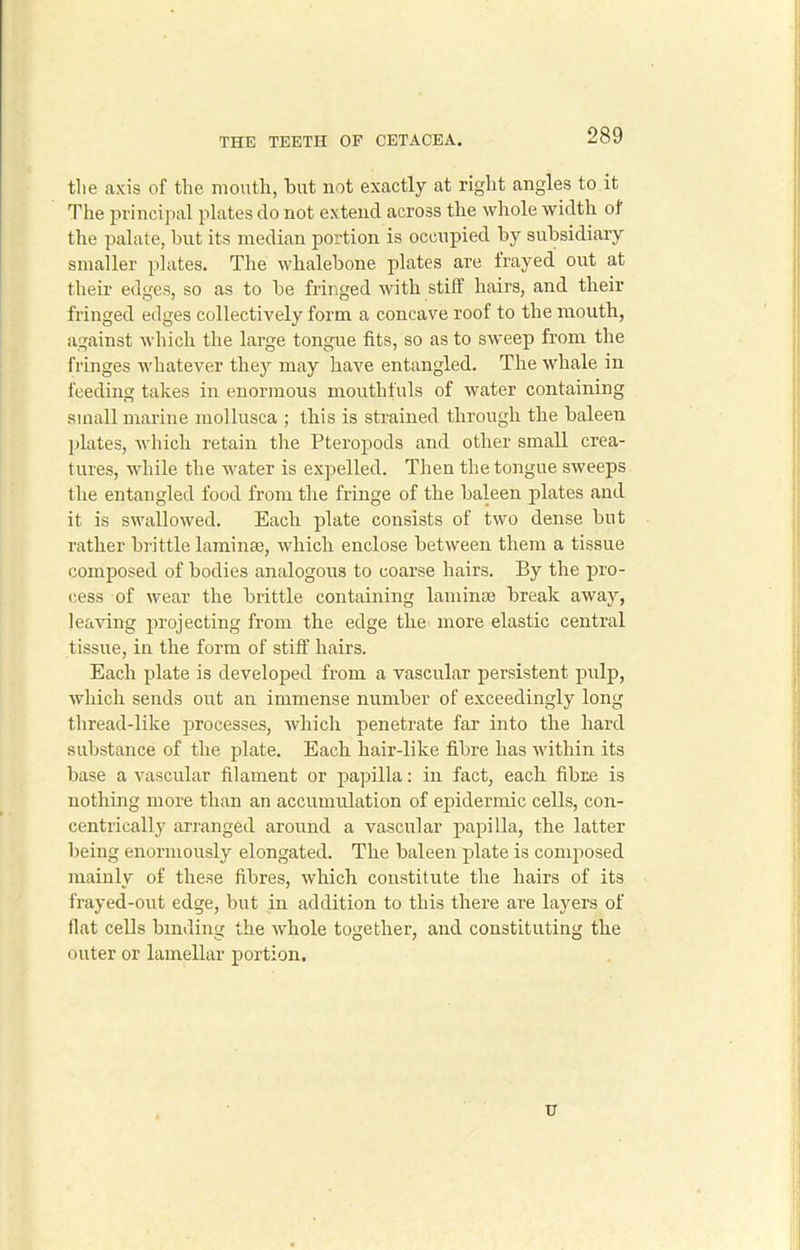 tlie axis of the mouth, hut not exactly at right angles to it The principal plates do not extend across the whole width of the palate, but its median portion is occupied by subsidiary smaller plates. The whalebone plates are frayed out at their edges, so as to be fringed with stiff hairs, and their fringed edges collectively form a concave roof to the mouth, against which the large tongue fits, so as to sweep from the fringes whatever they may have entangled. The whale in feeding takes in enormous mouthf uls of water containing small marine mollusca ; this is strained through the baleen plates, which retain the Pteropods and other small crea- tures, while the water is expelled. Then the tongue sweeps the entangled food from the fringe of the baleen plates and it is swallowed. Each plate consists of two dense but rather br ittle laminae, which enclose between them a tissue composed of bodies analogous to coarse hairs. By the pro- cess of wear the brittle containing laminae break away, leaving projecting from the edge the more elastic central tissue, in the form of stiff hairs. Each plate is developed from a vascular persistent pulp, which sends out an immense number of exceedingly long thread-like processes, which penetrate far into the hard substance of the plate. Each hair-like fibre has within its base a vascular filament or papilla: in fact, each fibre is nothing more than an accumulation of epidermic cells, con- centrically arranged around a vascular papilla, the latter being enormously elongated. The baleen plate is composed mainly of these fibres, which constitute the hairs of its frayed-out edge, but in addition to this there are layers of flat cells binding the whole together, and constituting the outer or lamellar portion. U