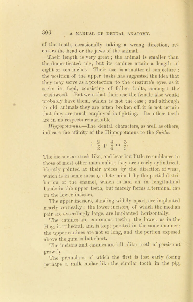 30 G of the tooth, occasionally taking a wrong direction, re- enters the head or the jaws of the animal. Their length is very great ; the animal is smaller than the domesticated pig, hut its canines attain a length of eight or ten inches. Their use is a matter of conjecture ; the position of the upper tusks has suggested the idea that they may serve as a protection to the creature’s eyes, as it seeks its food, consisting of fallen fruits, amongst the lrrushwood. But were that their use the female also would probably have them, which is not the case ; and although in old animals they are often broken off, it is not certain that they are much employed in fighting. Its other teeth are in no respects remarkable. Hippopotamus.—The dental characters, as well as others, indicate the affinity of the Hippopotamus to the Suidce. The incisors are tusk-like, and bear but little resemblance to those of most other mammalia ; they are nearly cylindrical, bluntly pointed at their apices by the direction of wear, which is in some measure determined by the partial distri- bution of the enamel, which is laid on in longitudinal bands in the upper teeth, but merely forms a terminal cap on the lower incisors. The upper incisors, standing widely apart, are implanted nearly vertically : the lower incisors, of which the median pair are exceedingly large, are implanted horizontally. The canines are enormous teeth ; the lower, as in the Hog, is trihedral, and is kept pointed in the same manner; the upper canines are not so long, and the portion exposed above the gum is but short. The incisois and canines are all alike teeth of persistent growth. The premolars, of which the first is lost early (being perhaps a milk molar like the similar tooth in the pig,