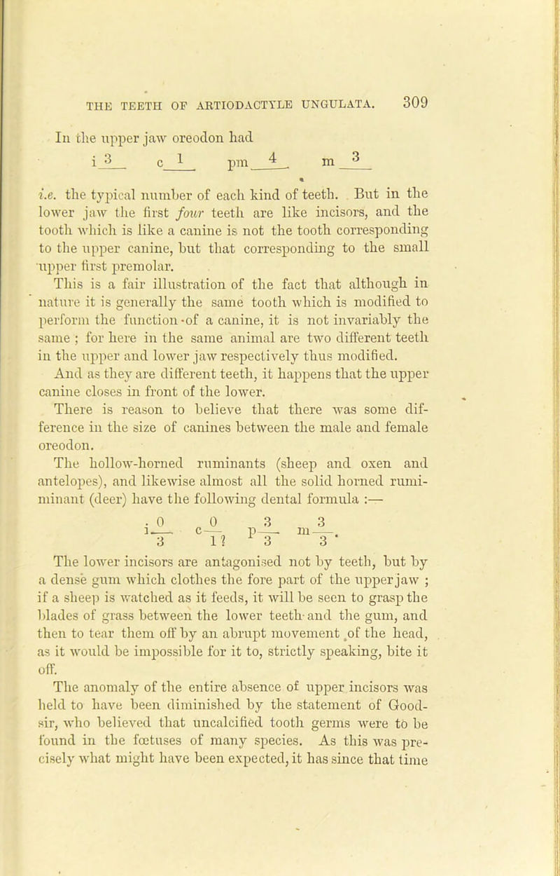 In the upper jaw oreodon had i_5 c I pm ^ m ^ i.e. the typical number of each hind of teeth. But in the lower jaw the first four teeth are like incisors, and the tooth which is like a canine is not the tooth corresponding to the upper canine, but that corresponding to the small upper first premolar. This is a fair illustration of the fact that although in nature it is generally the same tooth which is modified to perform the function-of a canine, it is not invariably the same ; for here in the same animal are two different teeth in the upper and lower jaw respectively thus modified. And as they are different teeth, it happens that the upper canine closes in front of the lower. There is reason to believe that there was some dif- ference in the size of canines between the male and female oreodon. The hollow-horned ruminants (sheep and oxen and antelopes), and likewise almost all the solid horned rurni- niinant (deer) have the following dental formula :— The lower incisors are antagonised not by teeth, but by a dense gum which clothes the fore part of the upper jaw ; if a sheep is watched as it feeds, it will be seen to grasp the blades of grass between the lower teeth-and the gum, and then to tear them off by an abrupt movement oof the head, as it would be impossible for it to, strictly speaking, bite it off. The anomaly of the entire absence of upper incisors was held to have been diminished by the statement of Good- sir, who believed that uncalcified tooth germs were to be found in the foetuses of many species. As this was pre- cisely what might have been expected, it has since that time