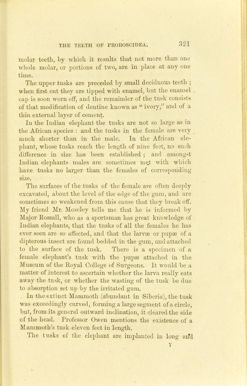 molar teeth, by which it results that not more than one whole molar, or portions of two, are in place at any one time. The upper tusks are preceded by small deciduous teeth ; when first cut they are tipped with enamel, but the enamel cap is soon worn off, and the remainder of the tusk consists of that modification of dentine known as “ ivory,” and of a thin external layer of cement. In the Indian elephant the tusks are not so large as in the Afi'ican species : and the tusks in the female are very much shorter than in the male. In the African ele- phant, whose tusks reach the length of nine feet, no sucli difference in size has been established ; and amongst Indian elephants males are sometimes m^t with which have tusks no larger than the females of corresponding size. The surfaces of the tusks of the female are often deeply excavated, about the level of the edge of the gum, and are sometimes so weakened from this cause that they break off. My friend Mr. Moseley tells me that he is informed by Major Rossall, who as a sportsman has great knowledge of Indian elephants, that the tusks of all the females he has ever seen are so affected, and that the larval or pupae of a dipterous insect are found bedded in the gum, and attached to the surface of the tusk. There is a specimen of a female elephant’s tusk with the pupae attached in the Museum of the Royal College of Surgeons. It would be a matter of interest to ascertain whether the larva really eats away the tusk, or whether the wasting of the tusk be due to absorption set up by the irritated gum. In tire extinct Mammoth (abundant in Siberia), the tusk was exceedingly curved, forming a large segment of a circle, but, from its general outward inclination, it cleared the side of the head. Professor Owen mentions the existence of a Mammoth’s tusk eleven feet in length. The tusks of the elephant are implanted in long an*d Y