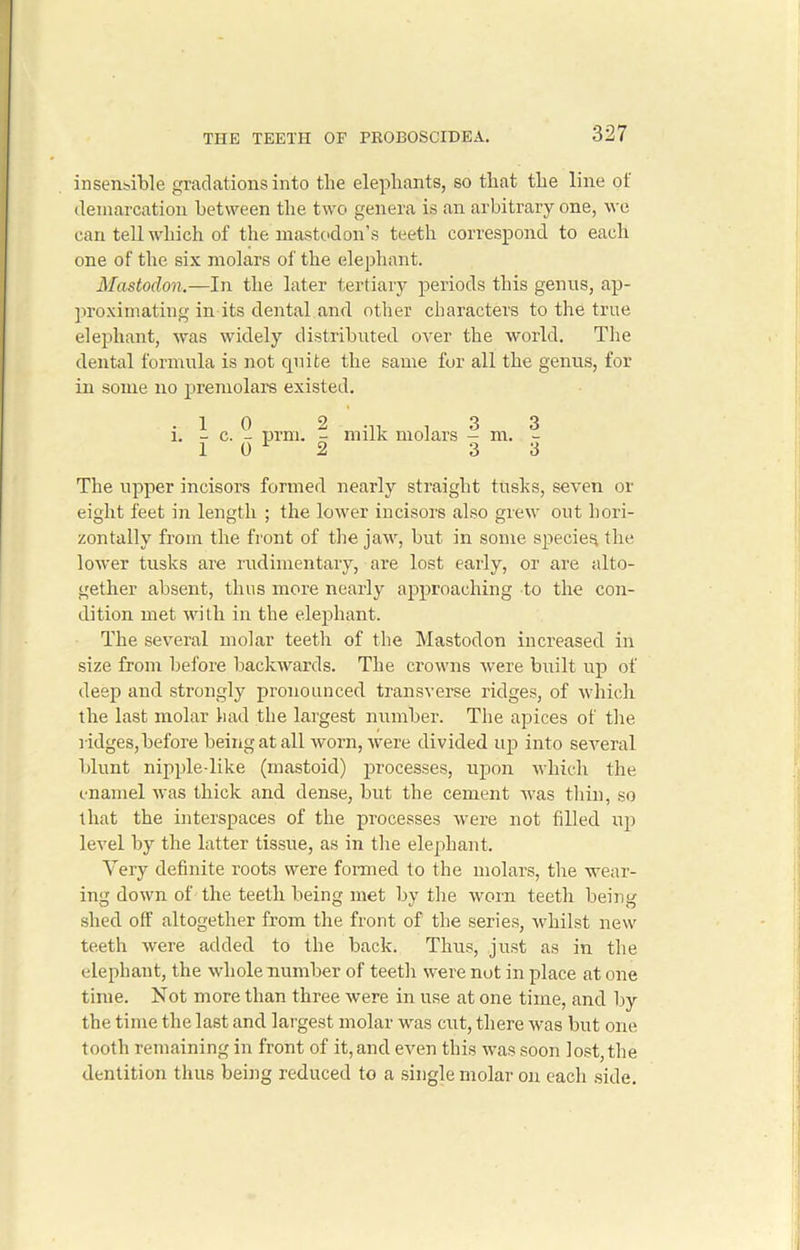 insensible gradations into the elephants, so that the line ot demarcation between the two genera is an arbitrary one, we can tell which of the mastodon’s teeth correspond to each one of the six molars of the elephant. Mastodon.—In the later tertiary periods this genus, ap- proximating in its dental and other characters to the true elephant, was widely distributed over the world. The dental formula is not quite the same for all the genus, for in some no premolars existed. - 1 0 2 , 3 3 l. - c. - prm. - milk molars - nr. - 1 0 1 2 3 3 The upper incisors formed nearly straight tusks, seven or eight feet in length ; the lower incisors also grew out hori- zontally from the front of the jaw, but in some species the lower tusks are rudimentary, are lost early, or are alto- gether absent, thus more nearly approaching to the con- dition met with in the elephant. The several molar teeth of the Mastodon increased in size from before backwards. The crowns were built up of deep and strongly pronounced transverse ridges, of which the last molar had the largest number. The apices of the ridges, before being at all worn, were divided up into several blunt nipple-like (mastoid) processes, upon which the enamel was thick and dense, but the cement was thin, so that the interspaces of the processes were not filled up level by the latter tissue, as in the elephant. Very definite roots were formed to the molars, the wear- ing down of the teeth being met by the worn teeth being shed off altogether from the front of the series, whilst new teeth were added to the back. Thus, just as in the elephant, the whole number of teeth were not in place at one time. Not more than three were in use at one time, and by the time the last and largest molar was cut, there was but one tooth remaining in front of it,and even this was soon lost, the dentition thus being reduced to a single molar on each side.