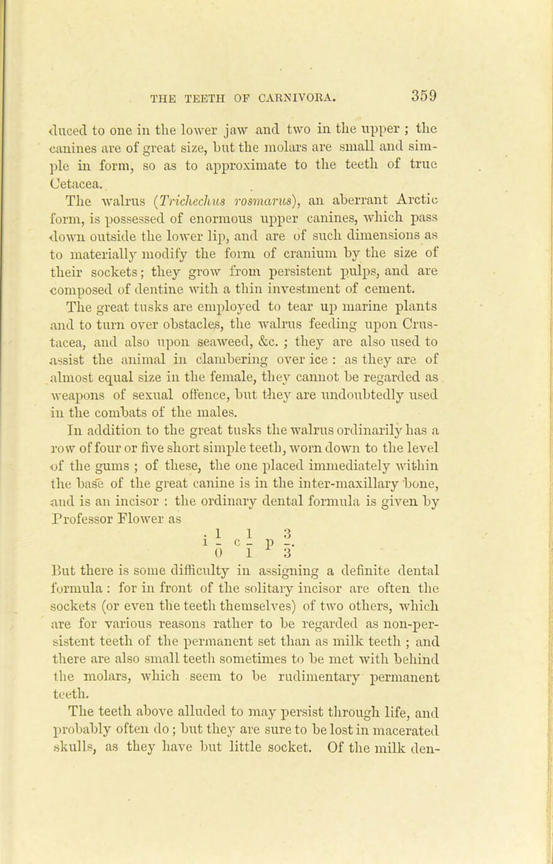 ducecl to one in the lower jaw and two in the upper ; the canines are of great size, hut the molars are small and sim- ple in form, so as to approximate to the teeth of true Cetacea.. The walrus (Trichechus rosmarus), an aberrant Arctic form, is possessed of enormous upper canines, which pass down outside the lower lip, and are of such dimensions as to materially modify the form of cranium by the size of their sockets; they grow from persistent pulps, and are composed of dentine with a thin investment of cement. The great tusks are employed to tear up marine plants and to turn over obstacles, the walrus feeding upon Crus- tacea, and also upon seaweed, &c. ; they are also used to assist the animal in clambering over ice : as they are of almost equal size in the female, they cannot be regarded as weapons of sexual offence, but they are undoubtedly used in the combats of the males. In addition to the great tusks the walrus ordinarily has a row of four or five short simple teeth, worn down to the level of the gums ; of these, the one placed immediately within the base of the great canine is in the inter-maxillary bone, and is an incisor : the ordinary dental formula is given by Professor Flower as .11 3 1 - c - p -. 0 13 But there is some difficulty in assigning a definite dental formula : for in front of the solitary incisor are often the sockets (or even the teeth themselves) of two others, which are for various reasons rather to be regarded as non-per- sistent teeth of the permanent set than as milk teeth ; and there are also small teeth sometimes to be met with behind the molars, which seem to be rudimentary permanent teeth. The teeth above alluded to may persist through life, and probably often do; but they are sure to be lost in macerated skulls, as they have but little socket. Of the milk den-