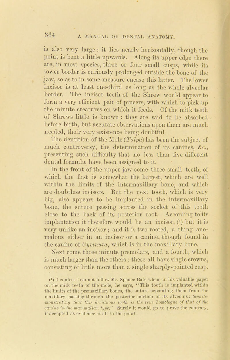 is also very large : it lies nearly horizontally, though the point is bent a little upwards. Along its upper edge there are, in most species, three or four small cusps, while its lower border is curiously prolonged outside the bone of the jaw, so as to in some measure encase this latter. The lower incisor is at least one-third as long as the whole alveolar border. The incisor teeth of the Shrew would appear to form a very efficient pair of pincers, with which to pick up the minute creatures on which it feeds. Of the milk teeth of Shrews little is known : they are said to be absorbed before birth, but accurate observations upon them are much needed, their very existence being doubtful. The dentition of the Mole (T«fy>cf) has been the subject of much controversy, the determination of its canines, &c., presenting such difficulty that no less than five different dental formula; have been assigned to it. In the front of the upper jaw come three small teeth, of which the first is somewhat the largest, which are well within the limits of the intermaxillary bone, and which are doubtless incisors. But the next tooth, which is very big, also appears to be implanted in the intermaxillary bone, the suture passing across the socket of this tooth close to the back of its posterior root. According to its implantation it therefore would be an incisor, (>) but it is very unlike an incisor ; and it is two-rootecl, a thing ano- malous either in an incisor or a canine, though found in the canine of Gymnura, which is in the maxillary bone. Next come three minute premolars, and a fourth, which is much larger than the others : these all have single crowns, consisting of little more than a single sharply-pointed cusp. (!) I confess I cannot follow Mr. Spence Bate when, in his valuable paper on the milk teeth of tlie mole, he says, “ This tooth is implanted within the limits of the premaxillary bones, the suture separating them from the maxillary, passing through the posterior portion of its alveolus: thus de- monstrating that this deciduous tooth is the true Imnhlogue of that of the canine in the mammalian type. Surely it would go to prove the contrary, if accepted as evidence at all to the point.