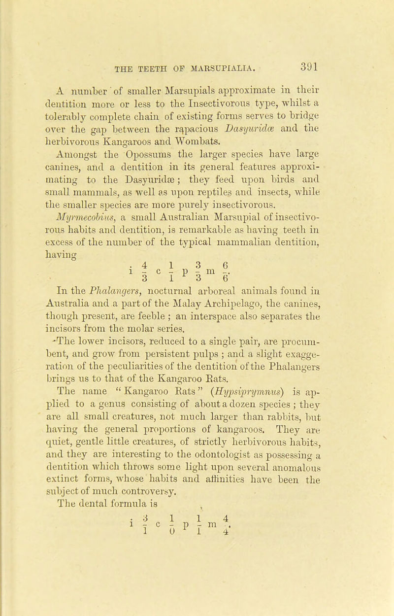 A number of smaller Marsupials approximate in their dentition more or less to the Insectivorous type, whilst a tolerably complete chain of existing forms serves to bridge over the gap between the rapacious Dasyuridce and the herbivorous Kangaroos and Wombats. Amongst the Opossums the larger species have large canines, and a dentition in its general features approxi- mating to the Dasyuridse; they feed upon birds and small mammals, as well as upon reptiles and insects, while the smaller species are more purely insectivorous. Myrmecobius, a small Australian Marsupial of insectivo- rous habits and dentition, is remarkable as having teeth in excess of the number of the typical mammalian dentition, having 6 6 In the Phalangers, nocturnal arboreal animals found in Australia and a part of the Malay Archipelago, the canines, though present, are feeble ; an interspace also separates the incisors from the molar series. •The lower incisors, reduced to a single pair, are procum- bent, and grow from persistent pulps ; and a slight exagge- ration of the peculiarities of the dentition of the Phalangers brings us to that of the Kangaroo Eats. The name “ Kangaroo Eats ” (Hypsiprymnus) is ap- plied to a genus consisting of about a dozen species ; they are all small creatures, not much larger than rabbits, but having the general proportions of kangaroos. They are quiet, gentle little creatures, of strictly herbivorous habits, and they are interesting to the odontologist as possessing a dentition which throws some light upon several anomalous extinct forms, whose habits and affinities have been the subject of much controversy. The dental formula is \