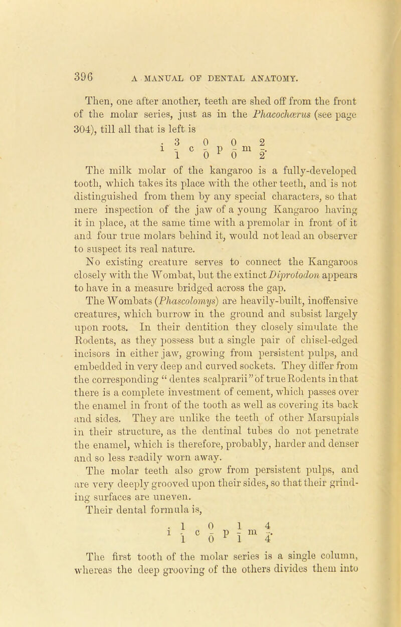 Then, one after another, teeth are shed off from the front of the molar series, jnst as in the Phacocluerus (see page 304), till all that is left is i 3 1 c 2 2' The milk molar of the kangaroo is a fully-developed tooth, which takes its place with the other teeth, and is not distinguished from them by any special characters, so that mere inspection of the jaw of a young Kangaroo having it in place, at the same time with a premolar in front of it and four true molars behind it, would not lead an observer to suspect its real nature. No existing creature serves to connect the Kangaroos closely with the Wombat, but the extiautDiprolodon appears to have in a measure bridged across the gap. The Wombats (Phascolomys) are heavily-built, inoffensive creatures, which burrow in the ground and subsist largely upon roots. In their dentition they closely simulate the Rodents, as they possess but a single pair of chisel-edged incisors in either jaw, growing from persistent pulps, and embedded in very deep and curved sockets. They differ from the corresponding “ dentes scalprarii” of true Rodents in that there is a complete investment of cement, which passes over the enamel in front of the tooth as well as covering its back and sides. They are unlike the teeth of other Marsupials in their structure, as the dentinal tubes do not penetrate the enamel, which is therefore, probably, harder and denser and so less readily worn away. The molar teeth also grow from persistent pulps, and are very deeply grooved upon their sides, so that their grind- ing surfaces are uneven. Their dental formula is, P 4 4* The first tooth of the molar series is a single column, whereas the deep grooving of the others divides them into