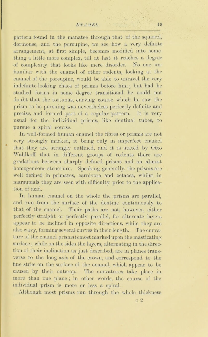 pattern found in the manatee through that of the squirrel, dormouse, and the porcupine, we sec how a very definite arrangement, at first simple, becomes modified into some- thing a little more complex, till at last it reaches a degree of complexity that looks like mere disorder. No one un- familiar with the enamel of other rodents, looking at the enamel of the porcupine, would be able to unravel the very indefinite-looking chaos of prisms before him; but had he studied forms in some degree transitional he could not doubt that the tortuous, curving course which he saw the prism to he pursuing was nevertheless perfectly definite and precise, and formed part of a regular pattern. It is very usual for the individual prisms, like dentinal tubes, to pursue a spiral course. In well-formed human enamel the fibres or prisms are not very strongly marked, it being only in imperfect enamel that they are strongly outlined, and it is stated by Otto Wahlkoff that in different groups of rodents there are gradations between sharply defined prisms and an almost homogeneous structure. Speaking generally, the prisms are well defined in primates, carnivora and cetacea, whilst in marsupials they are seen with difficulty prior to the applica- tion of acid. In human enamel on the whole the prisms arc parallel, and run from the surface of the dentine continuously to that of the enamel. Their paths are not, however, either perfectly straight or perfectly parallel, for alternate layers appear to be inclined in opposite directions, while they are also wavy, forming several curves in their length. The curva- ture of the enamel prisms is most marked upon the masticating surface; while on the sides the layers, alternating in the direc- tion of their inclination as just described, are in planes trans- verse to the long axis of the crown, and correspond to the fine strim on the surface of the enamel, which appear to be caused by their outcrop. The curvatures take place in more than one plane ; in other words, the course of the individual prism is more or less a spiral. Although most prisms run through the whole thickness c 2