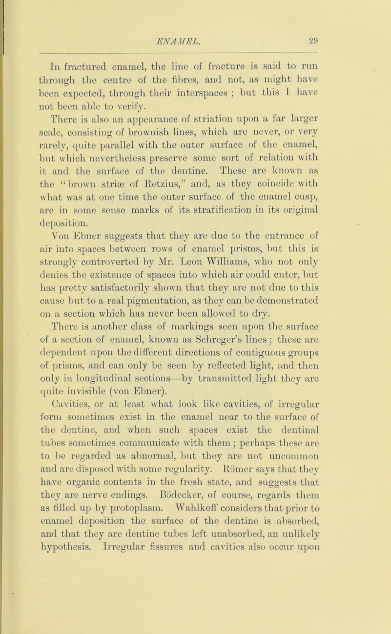 In fractured enamel, the line of fracture is said to run through the centre of the fibres, and not, as might have been expected, through their interspaces ; but this l have not been able to verify. There is also an appearance of striation upon a far larger scale, consisting of brownish lines, which are never, or very rarely, quite parallel with the outer surface of the enamel, but which nevertheless preserve some sort of relation with it and the surface of the dentine. These are known as the “brown strise of Retzius,” and, as they coincide with what was at one time the outer surface of the enamel cusp, are in some sense marks of its stratification in its original deposition. Von Ebner suggests that they are due to the entrance of air into spaces between rows of enamel prisms, but this is strongly controverted by Mr. Leon Williams, who not only denies the existence of spaces into which air could enter, but has pretty satisfactorily shown that they are not due to this cause but to a real pigmentation, as they can be demonstrated on a section which has never been allowed to dry. There is another class of markings seen upon the surface of a section of enamel, known as Schreger’s lines; these are dependent upon the different directions of contiguous groups of prisms, and can only be seen by reflected light, and then only in longitudinal sections—by transmitted light they are quite invisible (von Ebner). Cavities, or at least what look like cavities, of irregular form sometimes exist in the enamel near to the surface of the dentine, and when such spaces exist the dentinal tubes sometimes communicate with them; perhaps these are to be regarded as abnormal, but they are not uncommon and are disposed with some regularity. Romer says that they have organic contents in the fresh state, and suggests that they are nerve endings. Bticleckcr, of course, regards them as filled up by protoplasm. Wahlkoflf considers that prior to enamel deposition the surface of the dentine is absorbed, and that they are dentine tubes left unabsorbed, an unlikely hypothesis. Irregular fissures and cavities also occur upon