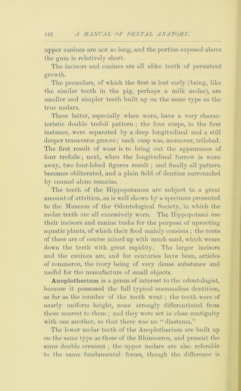 upper canines are not so long, and the portion exposed above the gum is relatively short. The incisors and canines are all alike teeth of persistent growth. The premolars, of which the first is lost early (being, like the similar tooth in the pig, perhaps a milk molar), are smaller and simpler teeth built up on the same type as the true molars. These latter, especially when worn, have a very charac- teristic double trefoil pattern ; the four cusps, in the first instance, were separated by a deep longitudinal and a still deeper transverse groove; each cusp was, moreover, trilobed. The first result of wear is to bring out the appearance of four trefoils; next, when the longitudinal furrow is worn away, two four-lobed figures result; and finally all pattern becomes obliterated, and a plain field of dentine surrounded by enamel alone remains. The teeth of the Hippopotamus are subject to a great amount of attrition, as is well shown by a specimen presented to the Museum of the Odontological Society, in which the molar teeth are all excessively worn. The Hippopotami use their incisors and canine tusks for the purpose of uprooting aquatic plants, of which their food mainly consists ; the roots of these are of course mixed up with much sand, which wears down the teeth with great rapidity. The larger incisors and the canines are, and for centuries have been, articles of commerce, the ivory being of very dense substance and useful for the manufacture of small objects. Anoplotherium is a genus of interest to the odontologist, because it possessed the full typical mammalian dentition, as far as the number of the teeth went; the teeth were of nearly uniform height, none strongly differentiated from those nearest to them ; and they were set in close contiguity with one another, so that there was no “diastema.” The lower molar teeth of the Anoplotherium are built up on the same type as those of the Rhinoceros, and present the same double crescent; the upper molars are also referable to the same fundamental forms, though the difference is