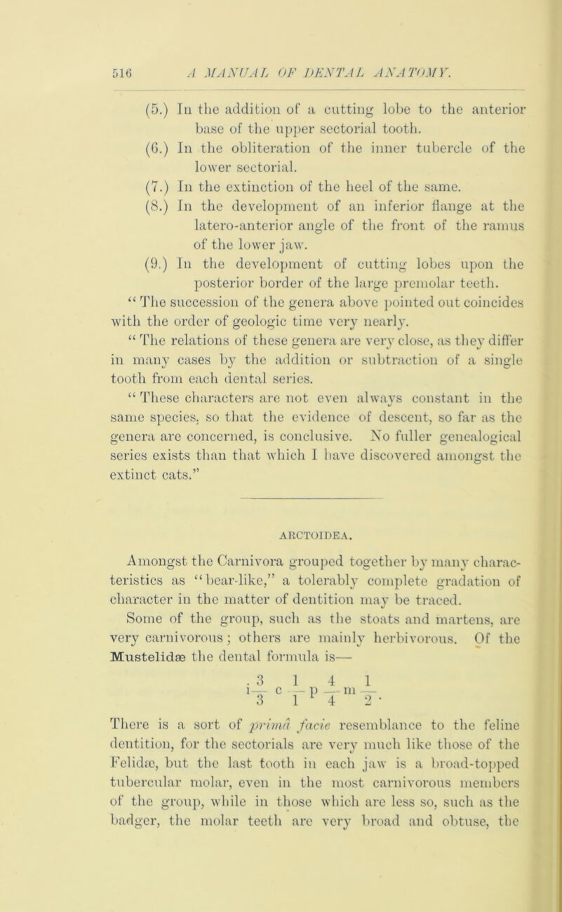 (5.) In the addition of a cutting lobe to the anterior base of the upper sectorial tooth. (G.) In the obliteration of the inner tubercle of the lower sectorial. (7.) In the extinction of the heel of the same. (8.) In the development of an inferior flange at the latero-anterior angle of the front of the ramus of the lower jaw. (9.) In the development of cutting lobes upon the posterior border of the large premolar teeth. “ The succession of the genera above pointed out coincides with the order of geologic time very nearly. “ The relations of these genera are very close, as the}’ differ in many cases by the addition or subtraction of a single tooth from each dental series. “ These characters are not even always constant in the same species, so that the evidence of descent, so far as the genera are concerned, is conclusive. No fuller genealogical scries exists than that which I have discovered amongst the extinct cats.” ARCTOIDEA. Amongst the Carnivora grouped together by many charac- teristics as “beardike,” a tolerably complete gradation of character in the matter of dentition may be traced. Some of the group, such as the stoats and martens, are very carnivorous; others are mainly herbivorous. Of the Mustelidae the dental formula is— .3141 i— c — p — m — 3 1^4 2 ’ There is a sort of primd facie resemblance to the feline dentition, for the sectorials are very much like those of the Felidae, but the last tooth in each jaw is a broad-topped tubercular molar, even in the most carnivorous members of the group, while in those which are less so, such as the badger, the molar teeth are very broad and obtuse, the