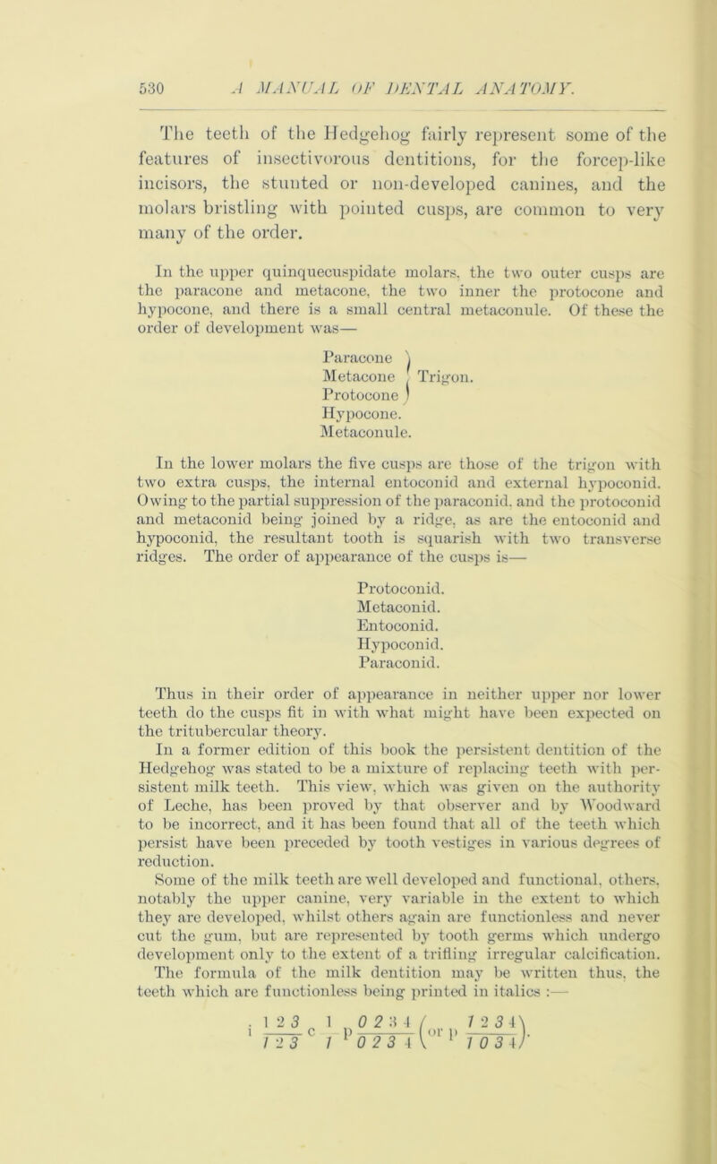 The teeth of the Hedgehog fairly represent some of the features of insectivorous dentitions, for the forcep-like incisors, the stunted or 11011-developed canines, and the molars bristling with pointed cusps, are common to very many of the order. In the upper quinquecuspidate molars, the two outer cusps are the paracone and metacone, the two inner the protocone and hypocone, and there is a small central metaconule. Of these the order of development was— In the lower molars the live cusps are those of the trigon with two extra cusps, the internal entoconid and external hypoconid. Owing to the partial suppression of the paraconid. and the protoconid and metaconid being joined by a ridge, as are the entoconid and hypoconid, the resultant tooth is squarish with two transverse ridges. The order of appearance of the cusps is— Thus in their order of appearance in neither upper nor lower teeth do the cusps fit in with what might have been expected on the tritubercular theory. In a former edition of this book the persistent dentition of the Hedgehog was stated to be a mixture of replacing teeth with per- sistent milk teeth. This view, which was given on the authority of Leche, has been proved by that observer and by Woodward to be incorrect, and it has been found that all of the teeth which persist have been preceded by tooth vestiges in various degrees of reduction. Some of the milk teeth are well developed and functional, others, notably the upper canine, very variable in the extent to which they are developed, whilst others again are functionless and never cut the gum, but are represented by tooth germs which undergo development only to the extent of a trifling irregular calcification. The formula of the milk dentition may be written thus, the teeth which are functionless being printed in italics :— Paracone i Metacone Trigon. Protocone ) Hypocone. Metaconule. Protoconid. Metaconid. Entoconid. Hypoconid. Paraconid.