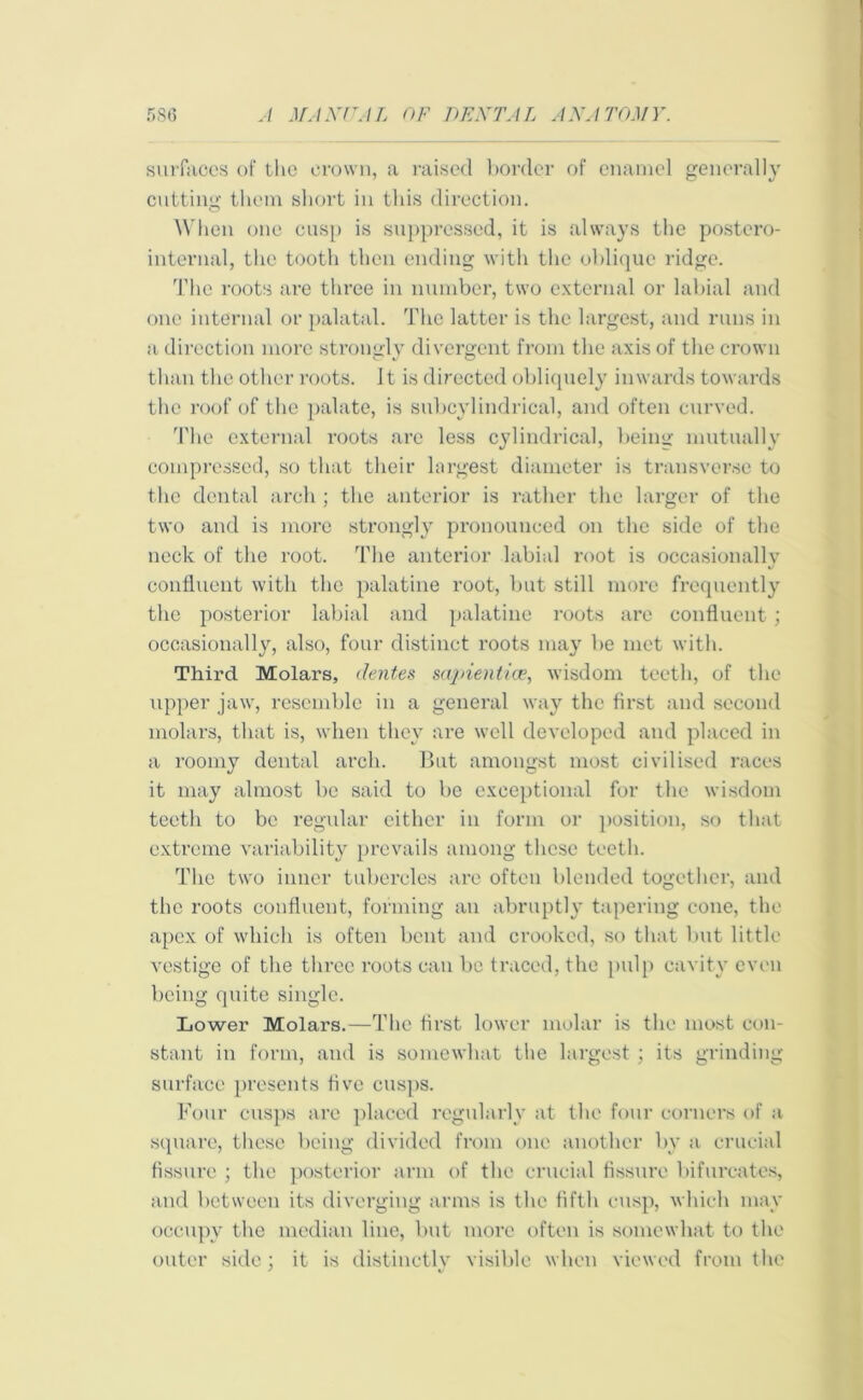 surfaces of the crown, a raised border of enamel generally cutting them short in this direction. When one cusp is suppressed, it is always the postero- internal, the tooth then ending with the oblique ridge. The roots are three in number, two external or labial and one internal or palatal. The latter is the largest, and runs in a direction more strongly divergent from the axis of the crown than the other roots. It is directed obliquely inwards towards the roof of the palate, is subcylindrical, and often curved. The external roots are less cylindrical, being mutually compressed, so that their largest diameter is transverse to the dental arch ; the anterior is rather the larger of the two and is more strongly pronounced on the side of the neck of the root. The anterior labial root is occasionally confluent with the palatine root, but still more frequently the posterior labial and palatine roots are confluent ; occasionally, also, four distinct roots may be met with. Third Molars, dentes sajnentice, wisdom teeth, of the upper jaw, resemble in a general way the first and second molars, that is, when they are well developed and placed in a roomy dental arch. But amongst most civilised races it may almost be said to be exceptional for the wisdom teeth to be regular either in form or position, so that extreme variability prevails among these teeth. The two inner tubercles are often blended together, and the roots confluent, forming an abruptly tapering cone, the apex of which is often bent and crooked, so that lmt little vestige of the three roots can be traced, the pulp cavity even being quite single. Lower Molars.—The first lower molar is the most con- stant in form, and is somewhat the largest ; its grinding surface presents five cusps. Four cusps arc placed regularly at the four corners of a square, these being divided from one another by a crucial fissure ; the posterior arm of the crucial fissure bifurcates, and between its diverging arms is the fifth cusp, which may occupy the median line, but more often is somewhat to the outer side ; it is distinctly visible when viewed from the
