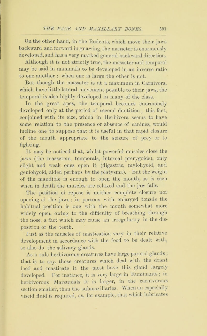 On the other hand, in the Rodents, which move their jaws backward and forward in gnawing, the masseter is enormously developed, and has a very marked general backward direction. Although it is not strictly true, the masseter and temporal may be said in mammals to be developed in an inverse ratio to one another : when one is large the other is not. But though the masseter is at a maximum in Carnivora, which have little lateral movement possible to their jaws, the temporal is also highly developed in many of the class. In the great apes, the temporal becomes enormously developed only at the period of second dentition .; this fact, conjoined with its size, which in Herbivora seems to have some relation to the presence or absence of canines, would incline one to suppose that it is useful in that rapid closure of the mouth appropriate to the seizure of prey or to fighting. It may be noticed that, whilst powerful muscles close the jaws (the masseters, temporals, internal pterygoids), only slight and weak ones open it (digastric, mylohyoid, and geniohyoid, aided perhaps by the platysma). But the weight of the mandible is enough to open the mouth, as is seen when in death the muscles are relaxed and the jaw falls. The position of repose is neither complete closure nor opening of the jaws; in persons with enlarged tonsils the habitual position is one with the mouth somewhat more widely open, owing to the difficulty of breathing through the nose, a fact which may cause an irregularity in the dis- position of the teeth. Just as the muscles of mastication vary in their relative development in accordance with the food to be dealt with, so also do the salivary glands. As a rule herbivorous creatures have large parotid glands : that is to say, those creatures which deal with the driest food and masticate it the most have this gland largely developed. For instance, it is very large in Ruminants; in herbivorous Marsupials it is larger, in the carnivorous section smaller, than the submaxillaries. hen an especially viscid fluid is required, as, for example, that which lubricates